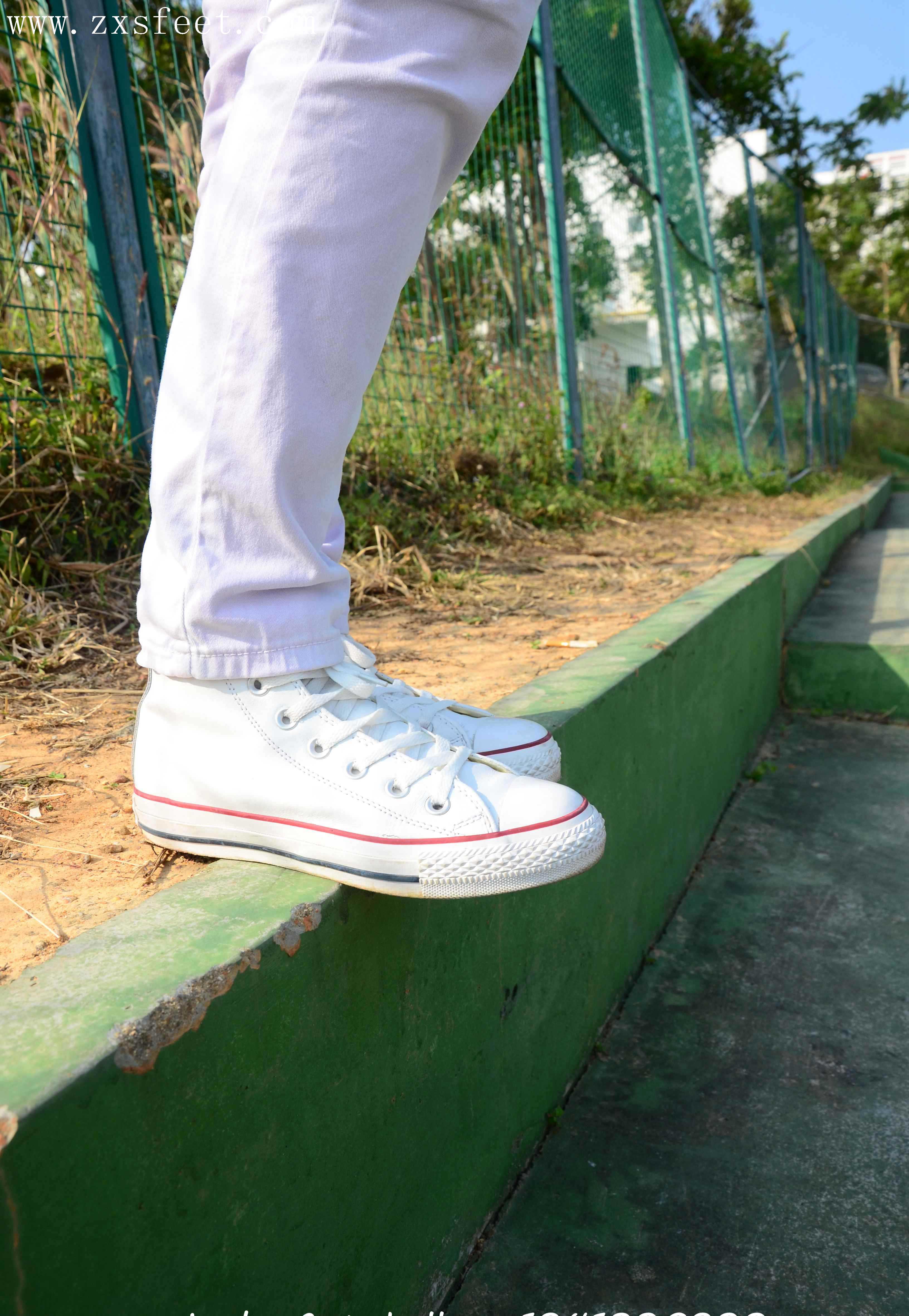 《校园的洁白青春》作品图