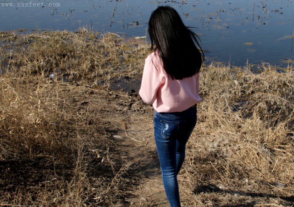 《湖边微风吹》作品图