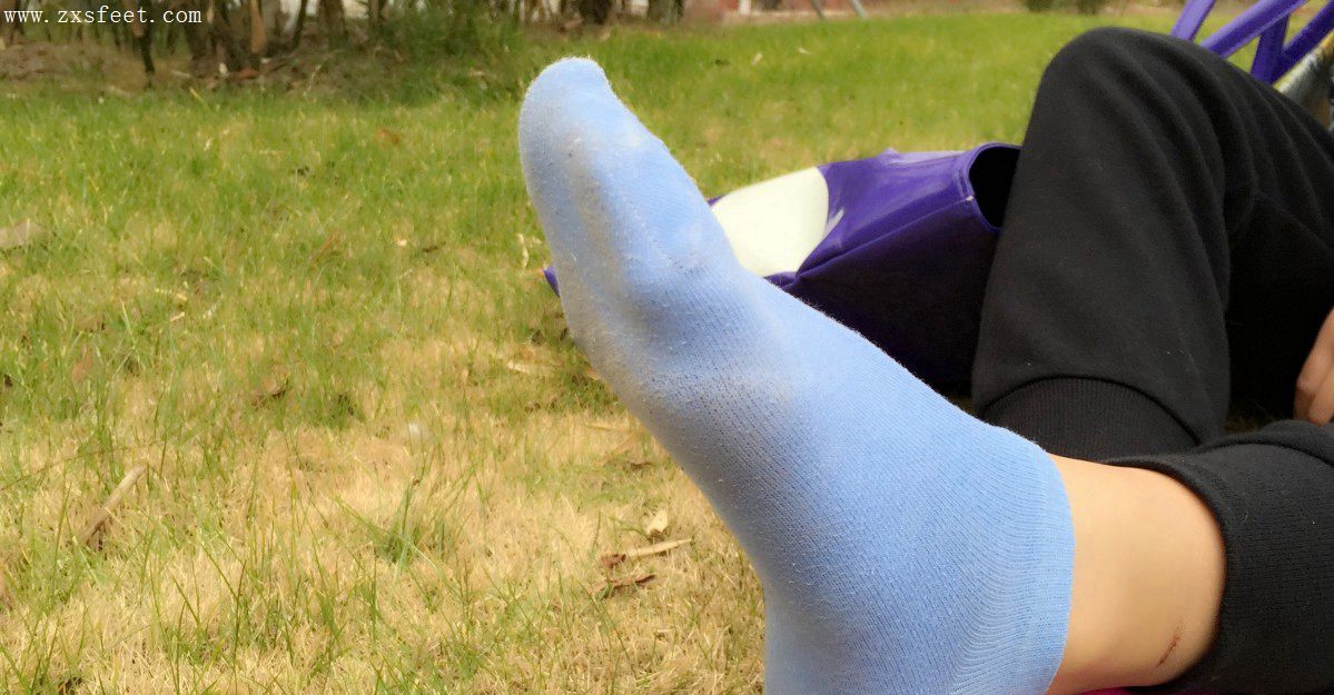 《草地绿葱葱》作品图