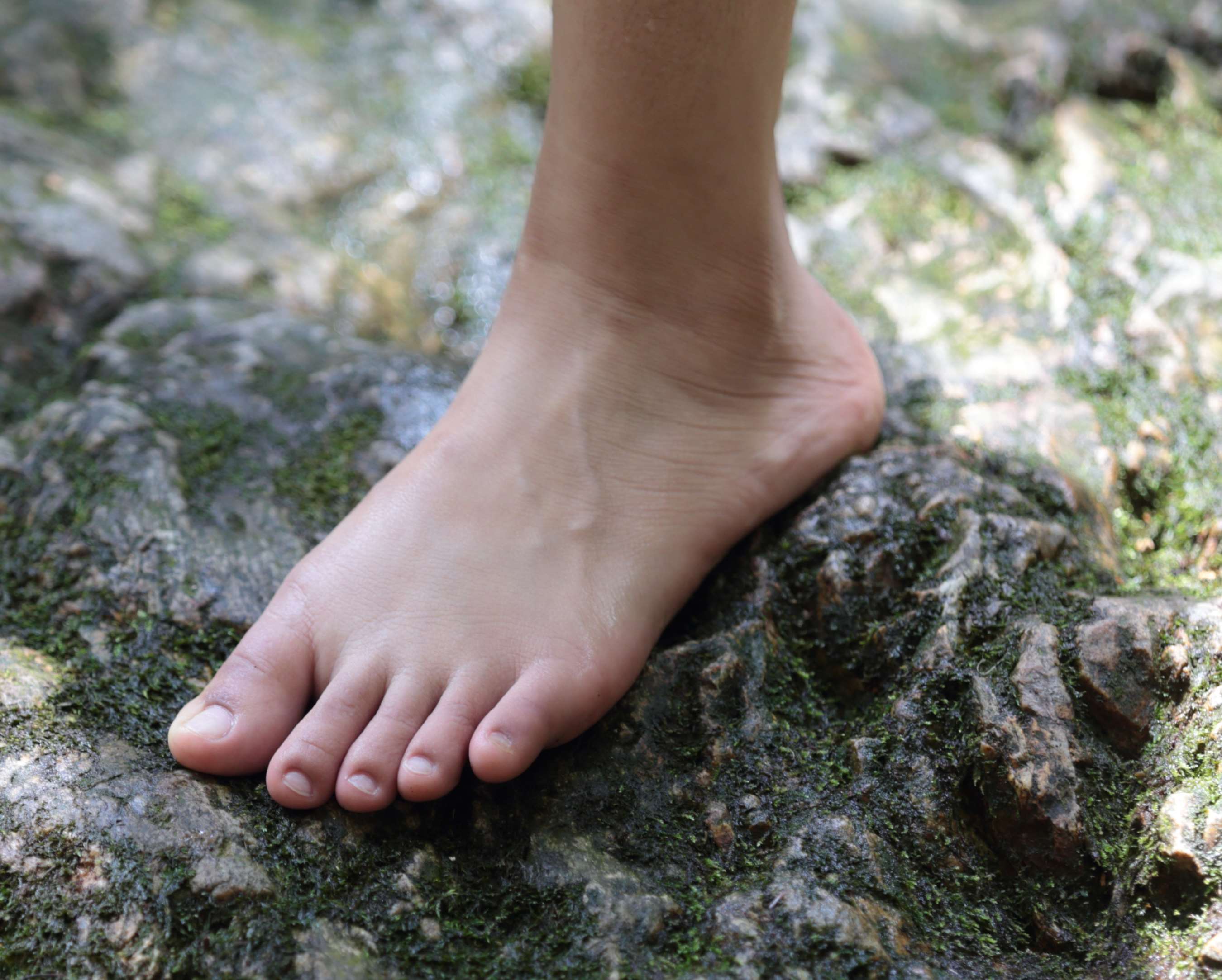 《两位青春可爱漂亮小女生超白嫩完美脚丫》作品图