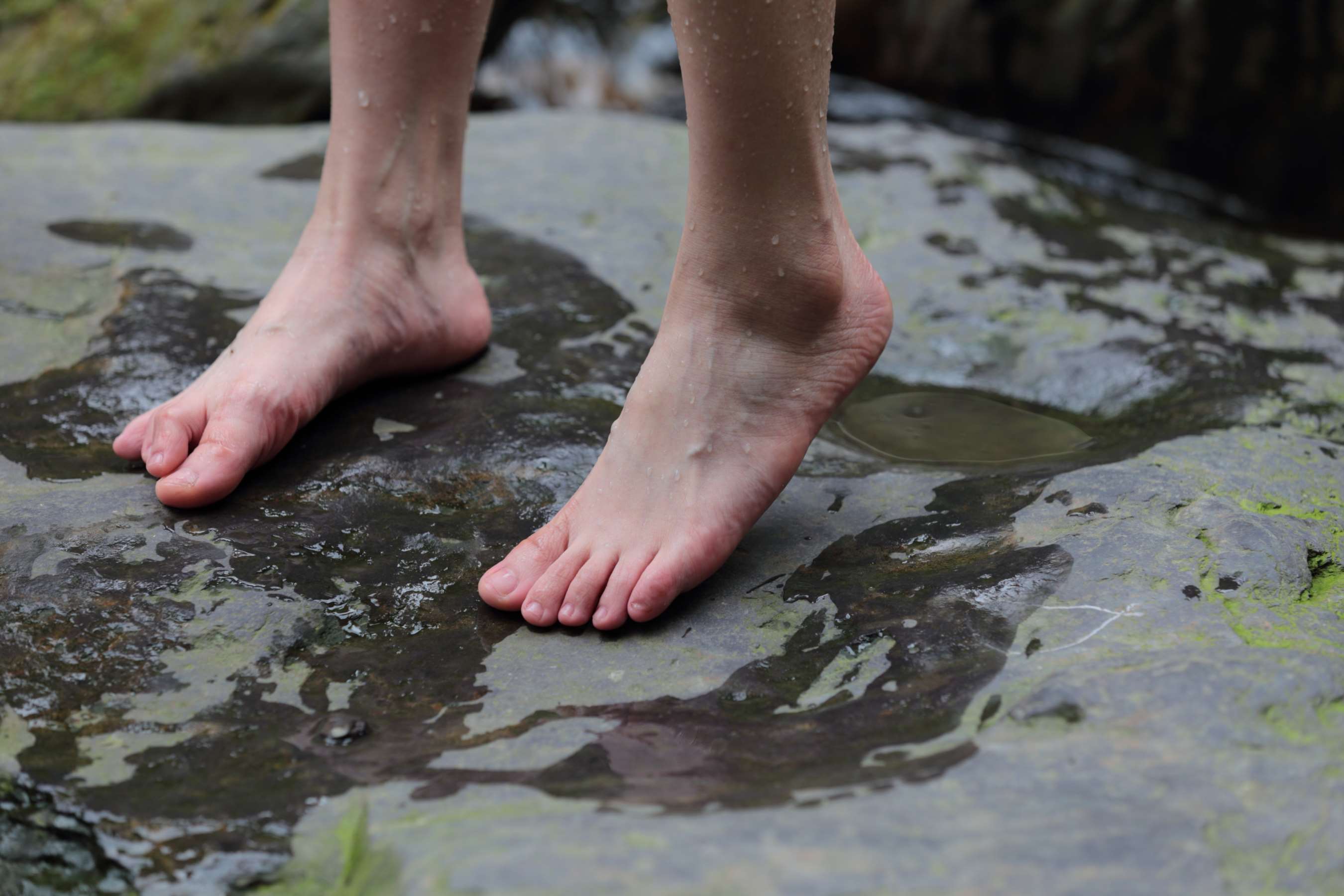 《如出水芙蓉的女孩春光乍泄》作品图