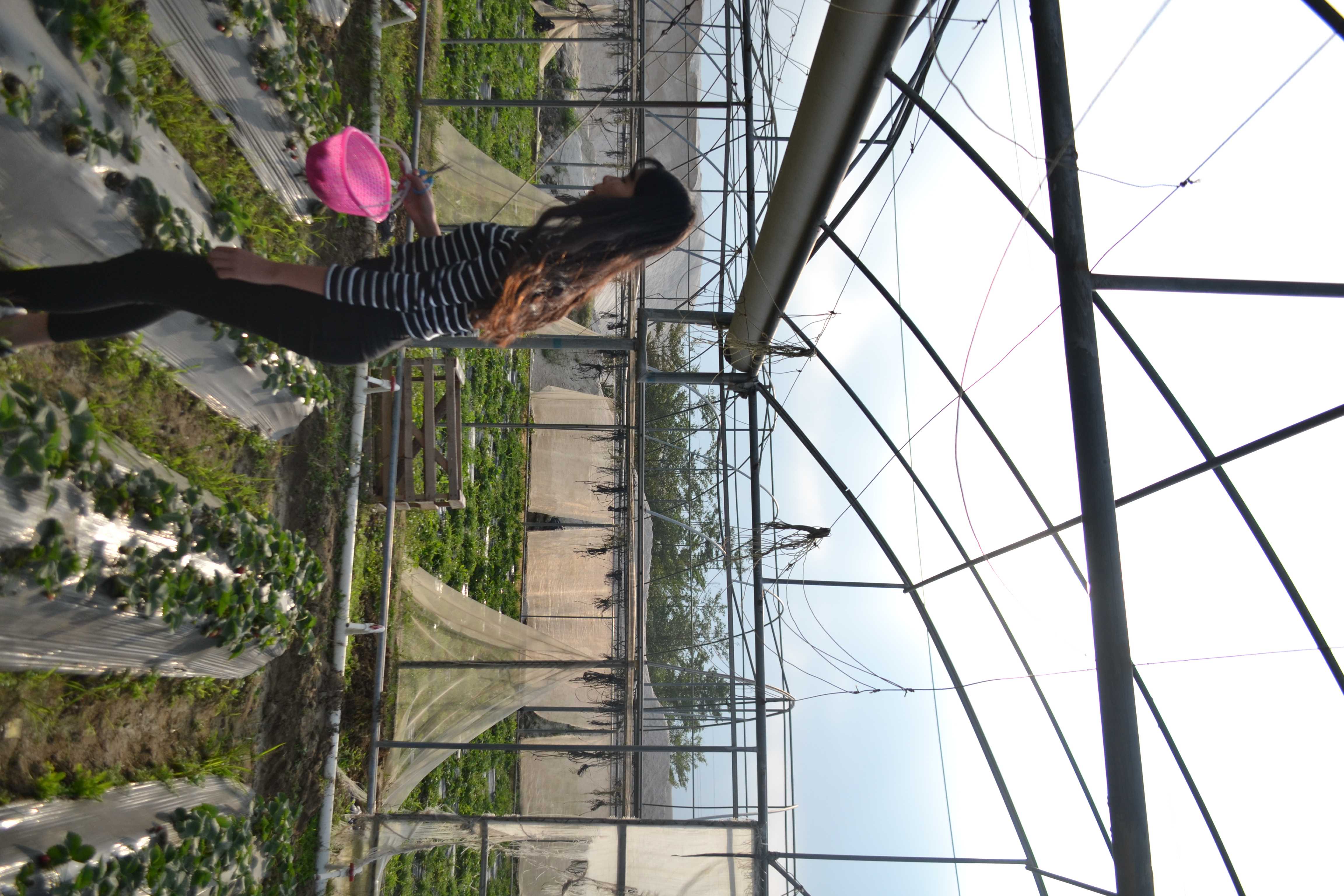 《大二眼镜学妹户外黑丝袜脚》作品图