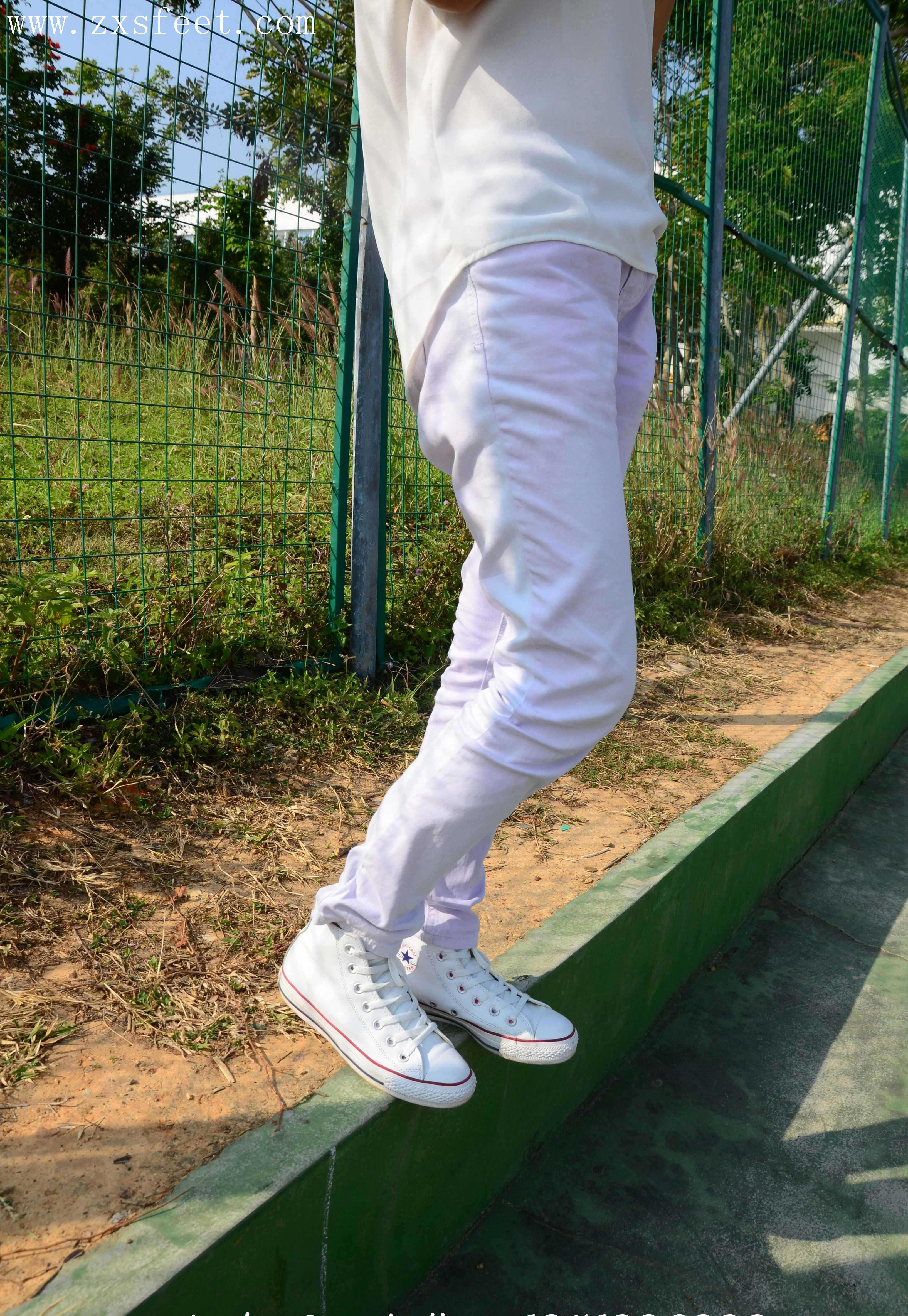 《校园的洁白青春》作品图