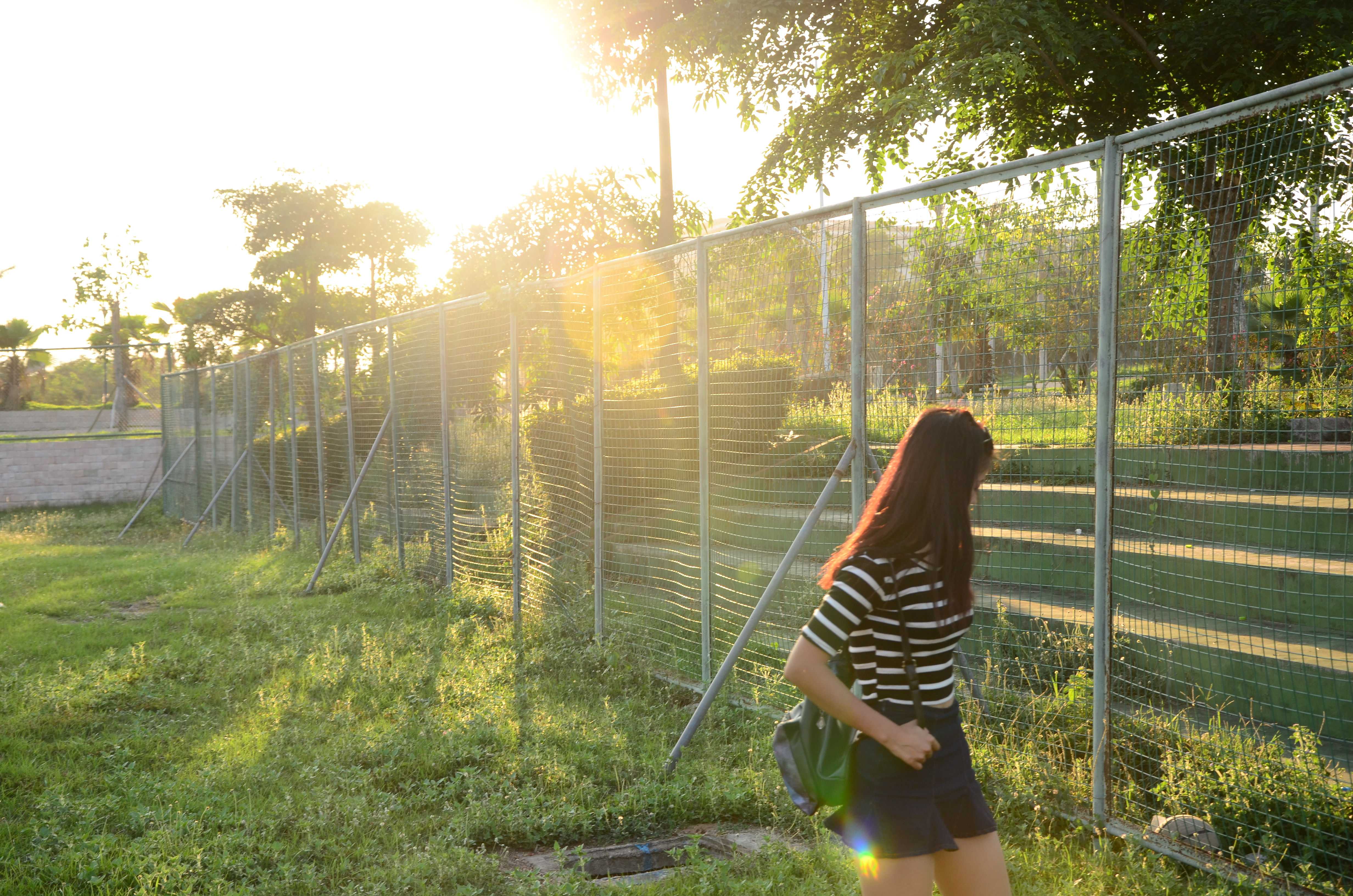 《操场上运动后的锦袜》作品图