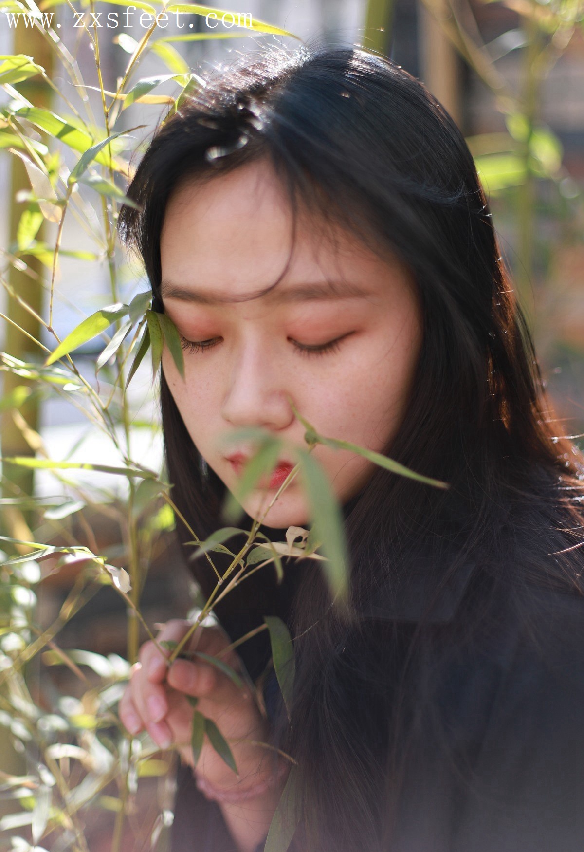 《秋季潮流袜子》作品图