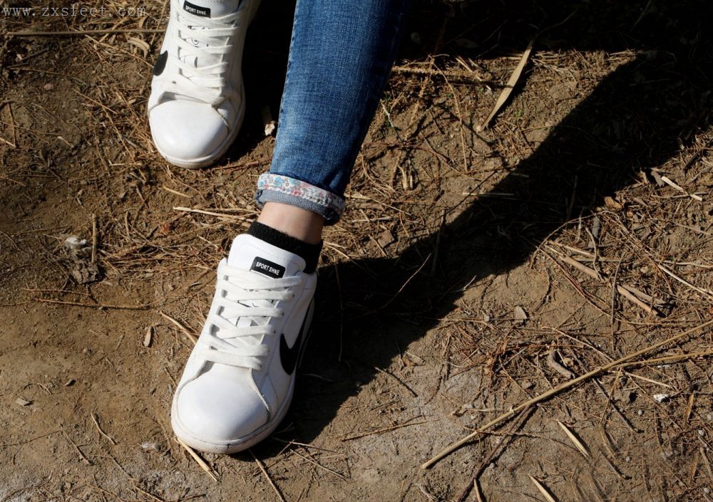 《湖边微风吹》作品图