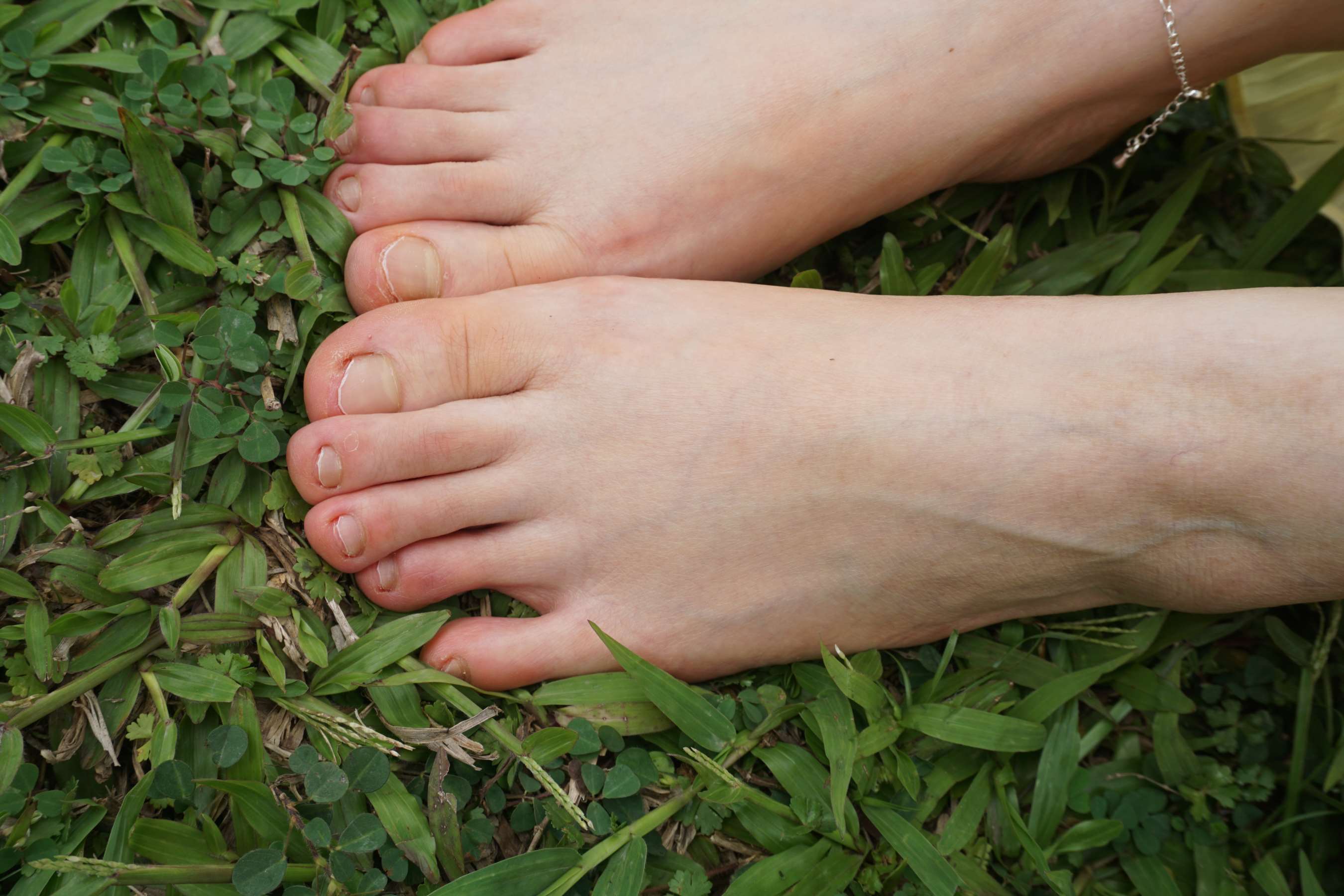 《艳艳的红润美脚》作品图