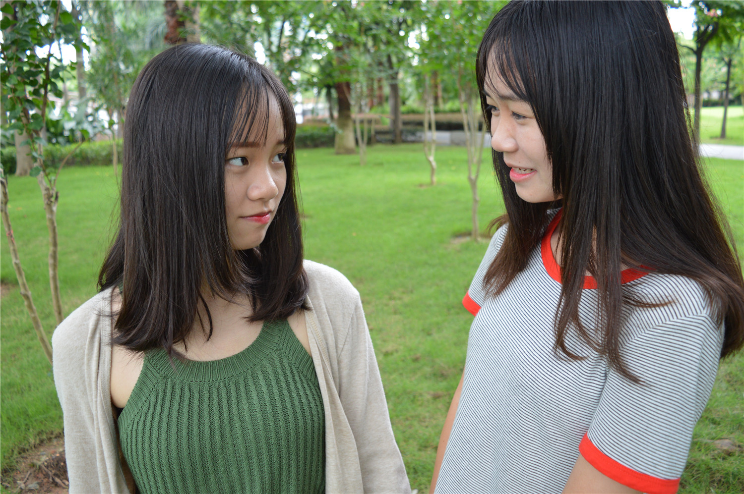 《草坪上的姐妹花》作品图