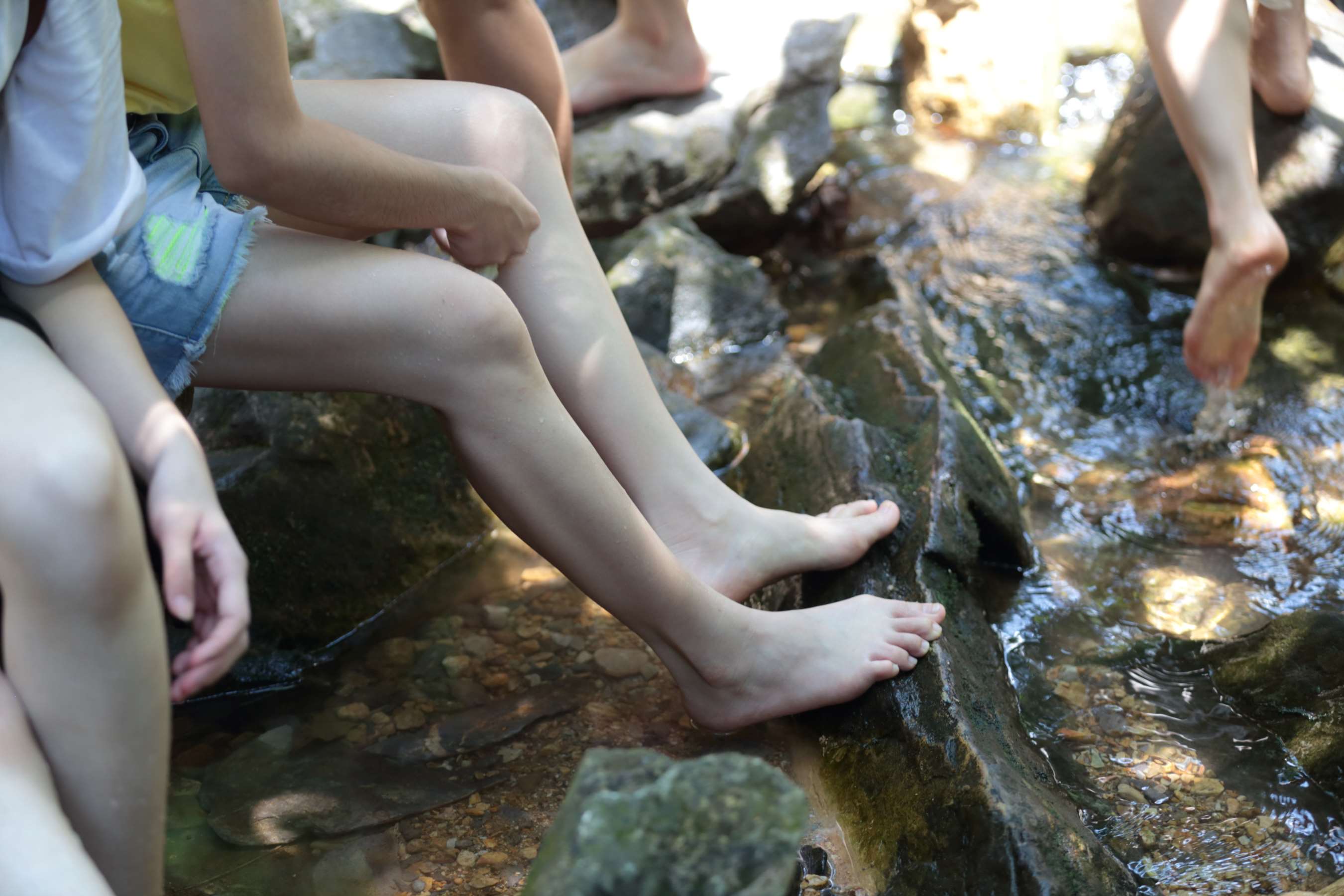 《两位18岁美少女的白嫩玉足》作品图