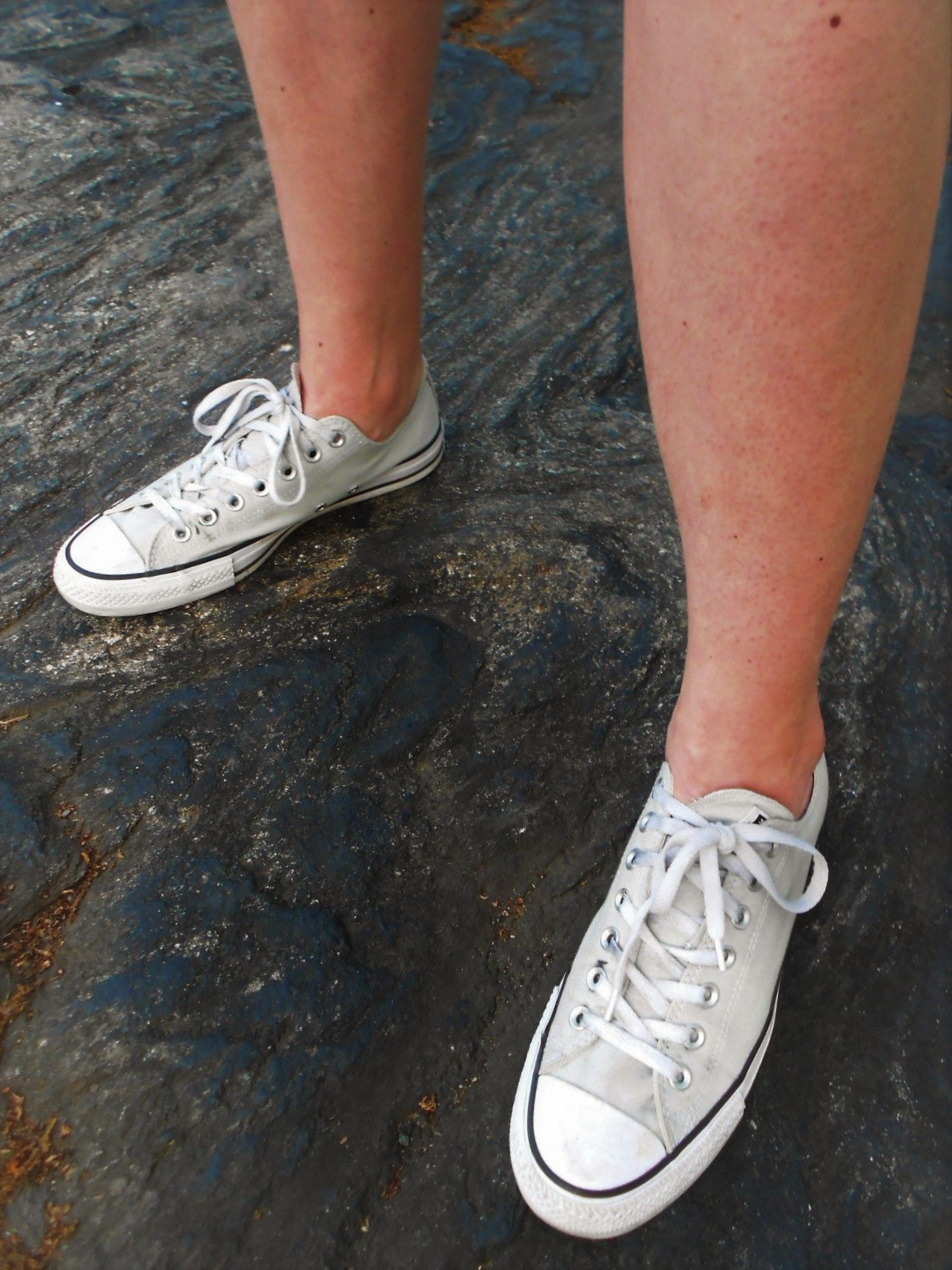 《纽约中央公园 - Bridgette Holland 博士》作品图