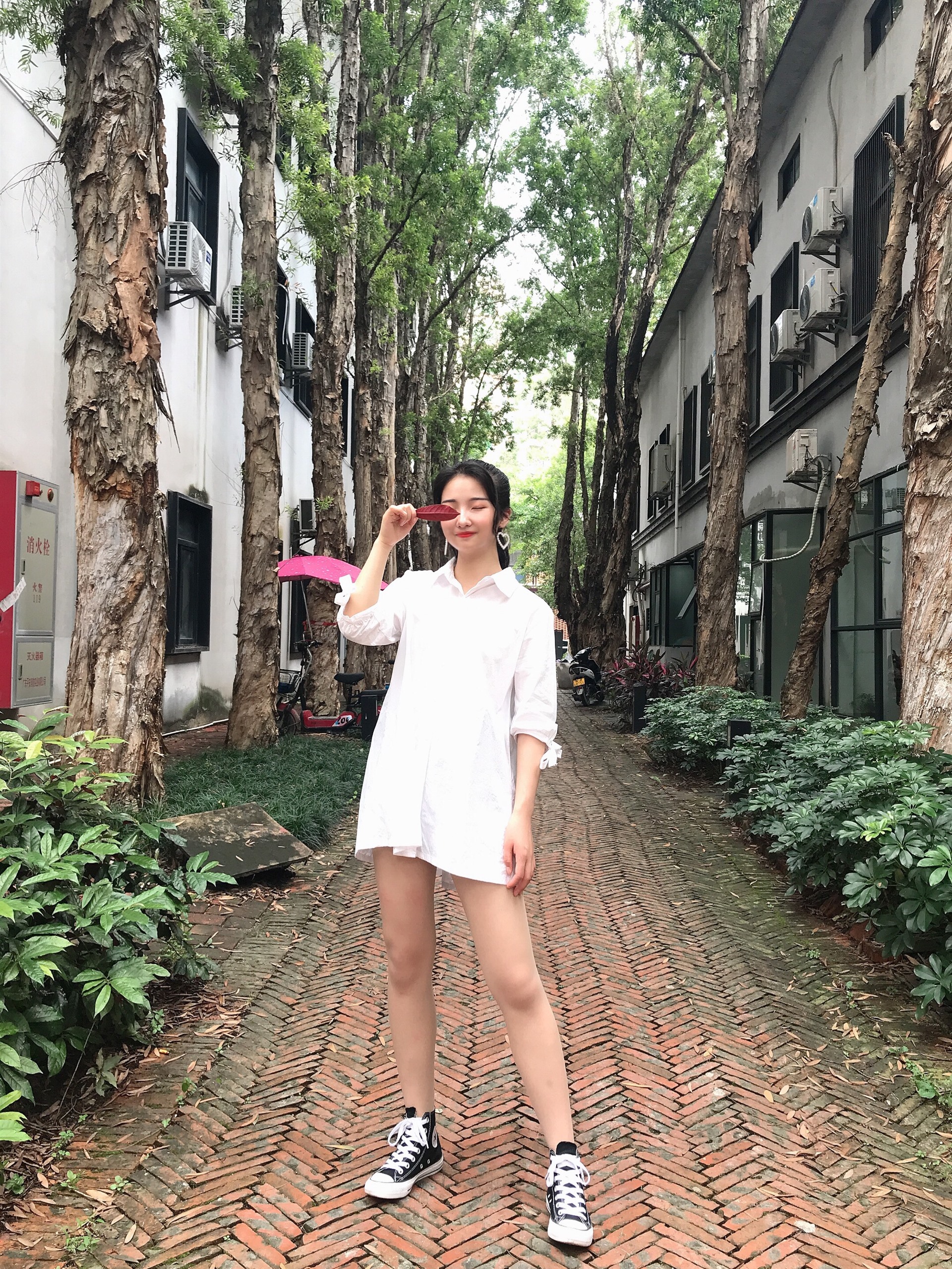 《帆布鞋の多套袜子搭配+2个视频》作品图