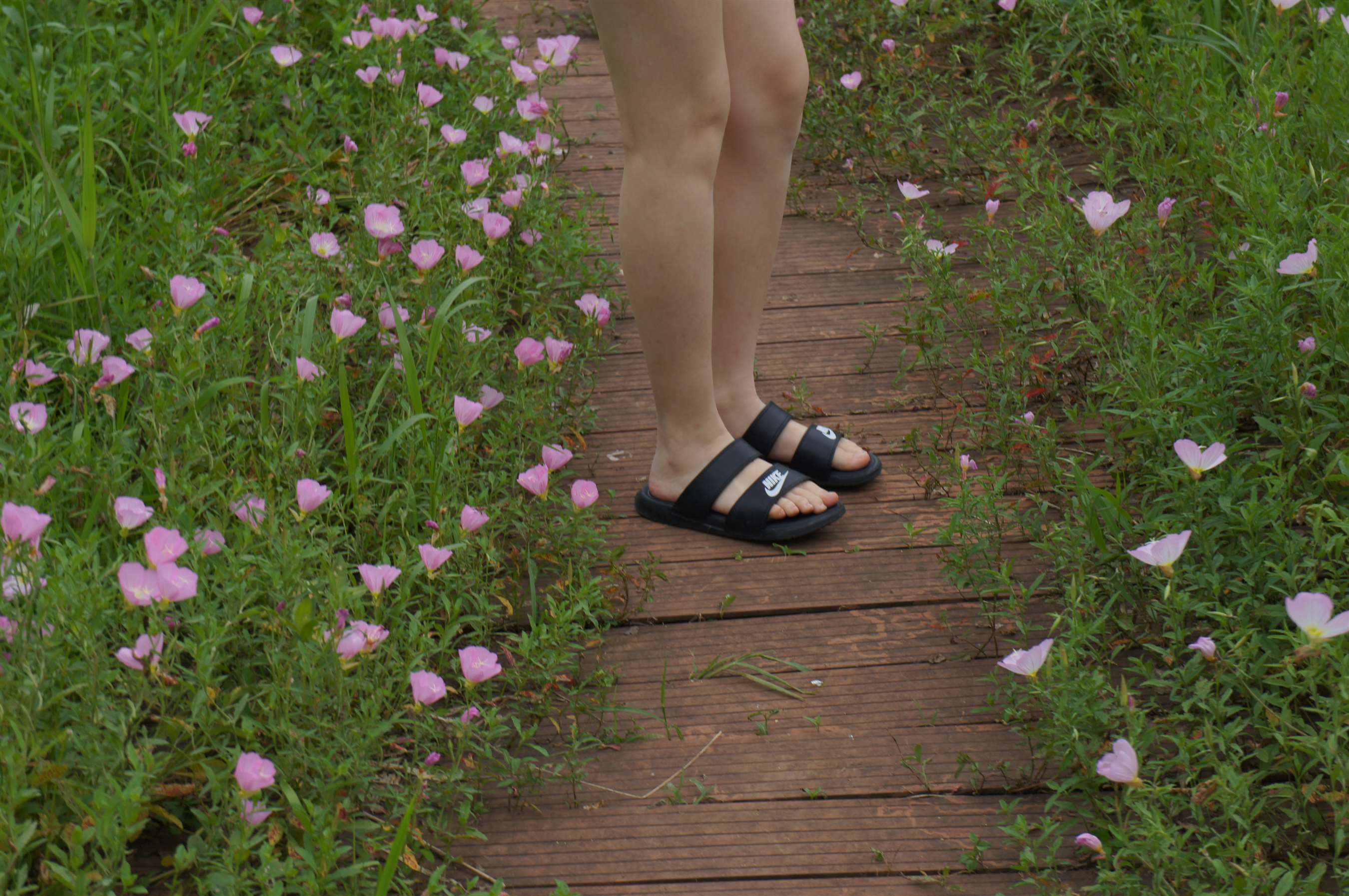 《花园里的凉鞋の裸足脚丫》作品图