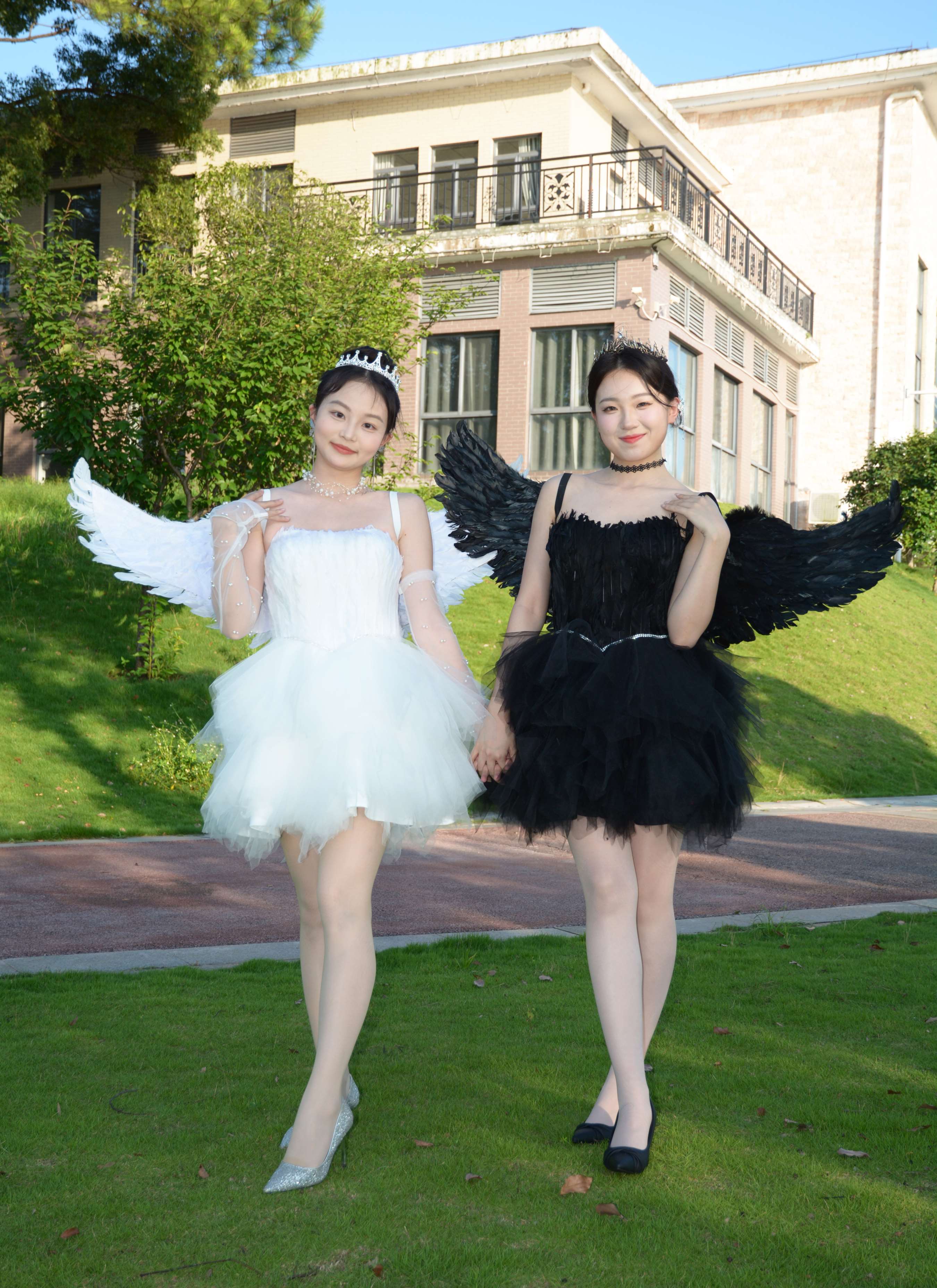 《双双、环环 黑白天使》作品图