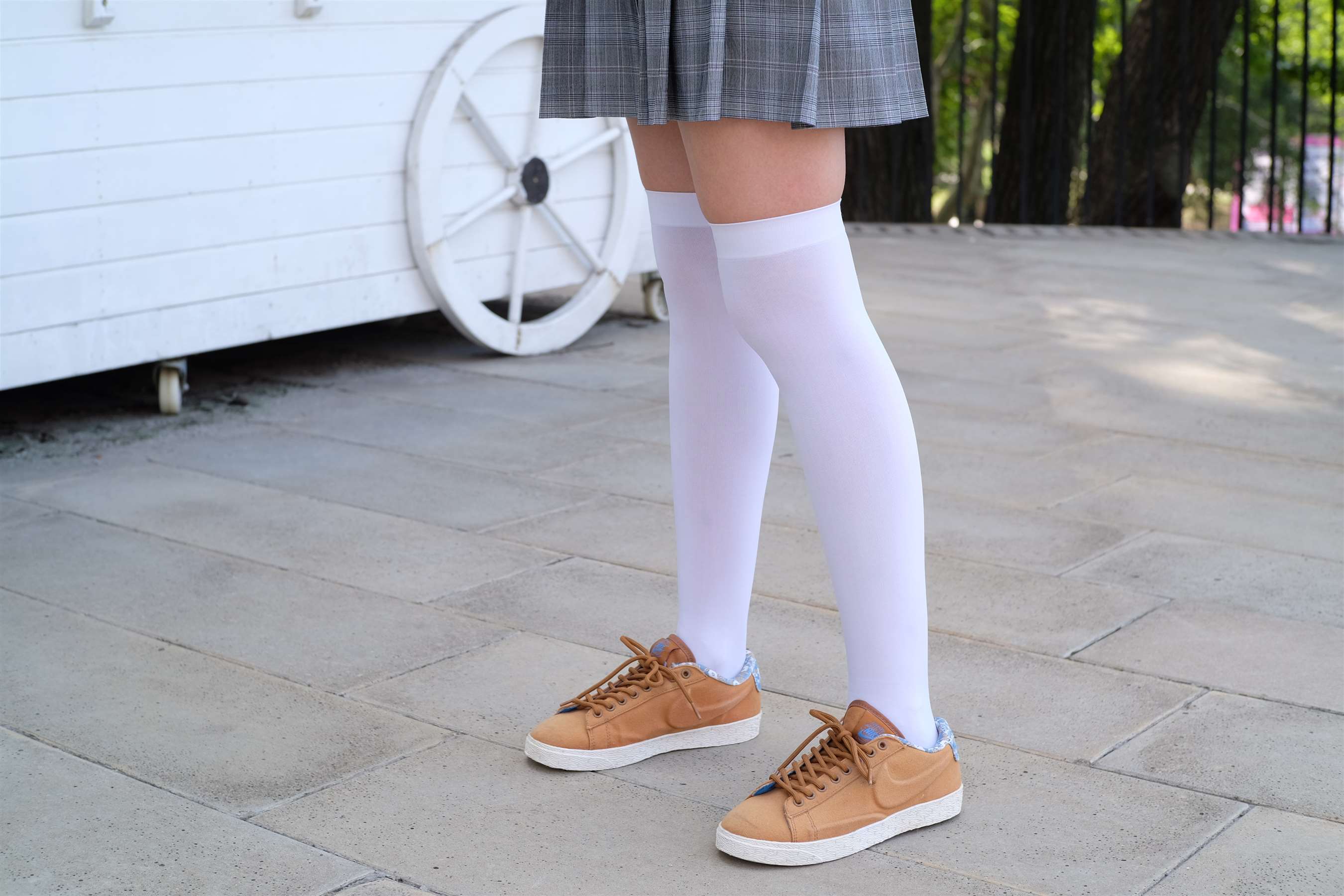 《湖边yue拍白丝少女》作品图