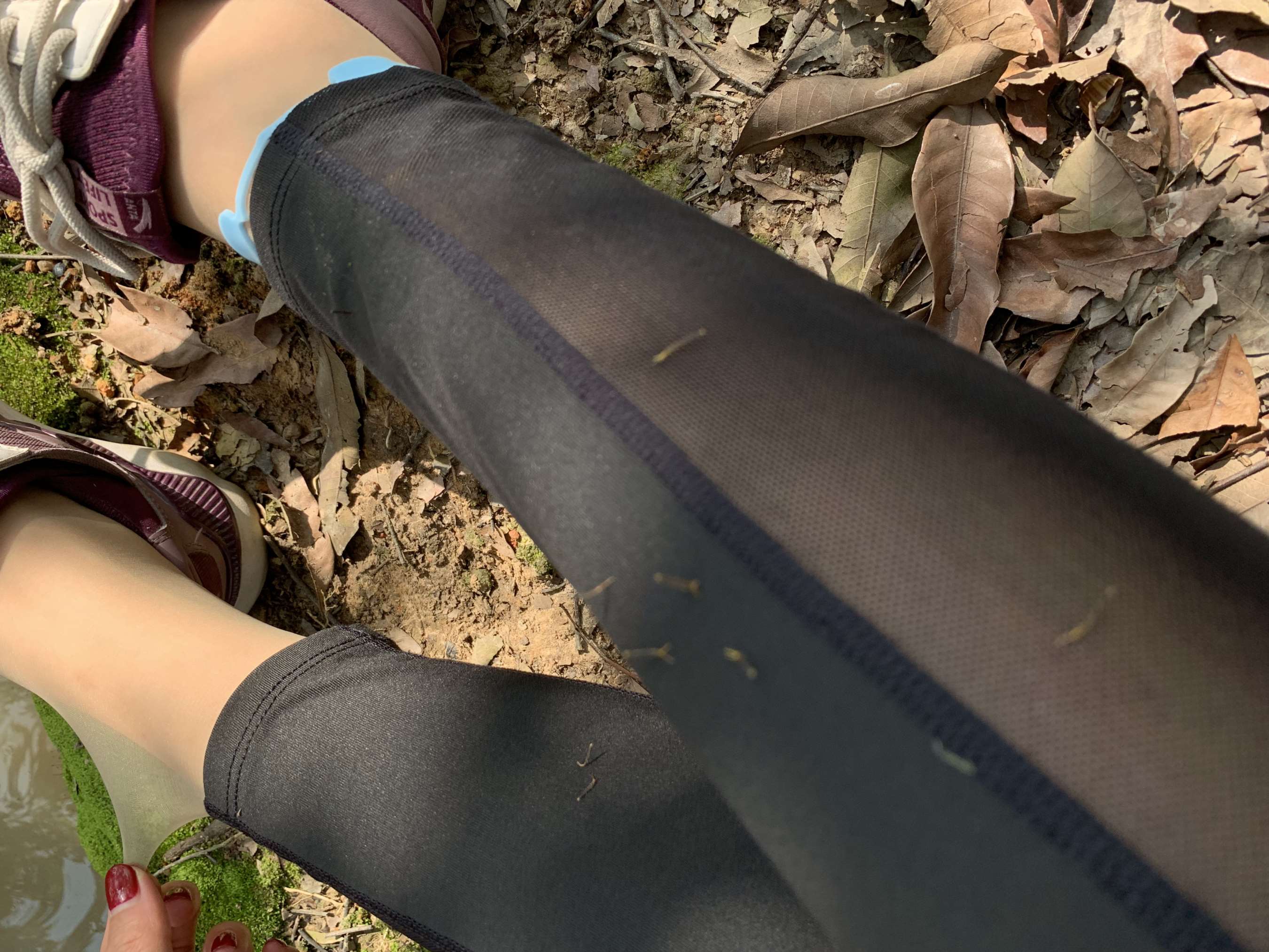 《少女肉丝脚丫》作品图