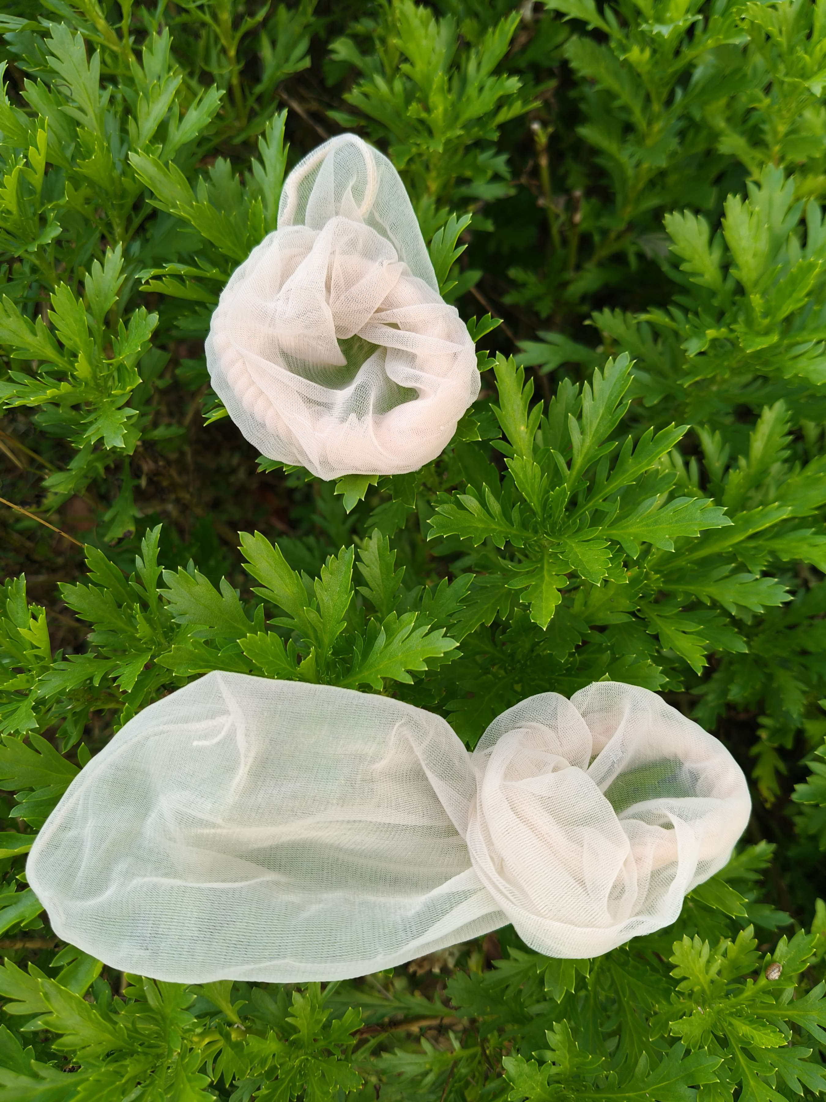 《初颜丝足》作品图