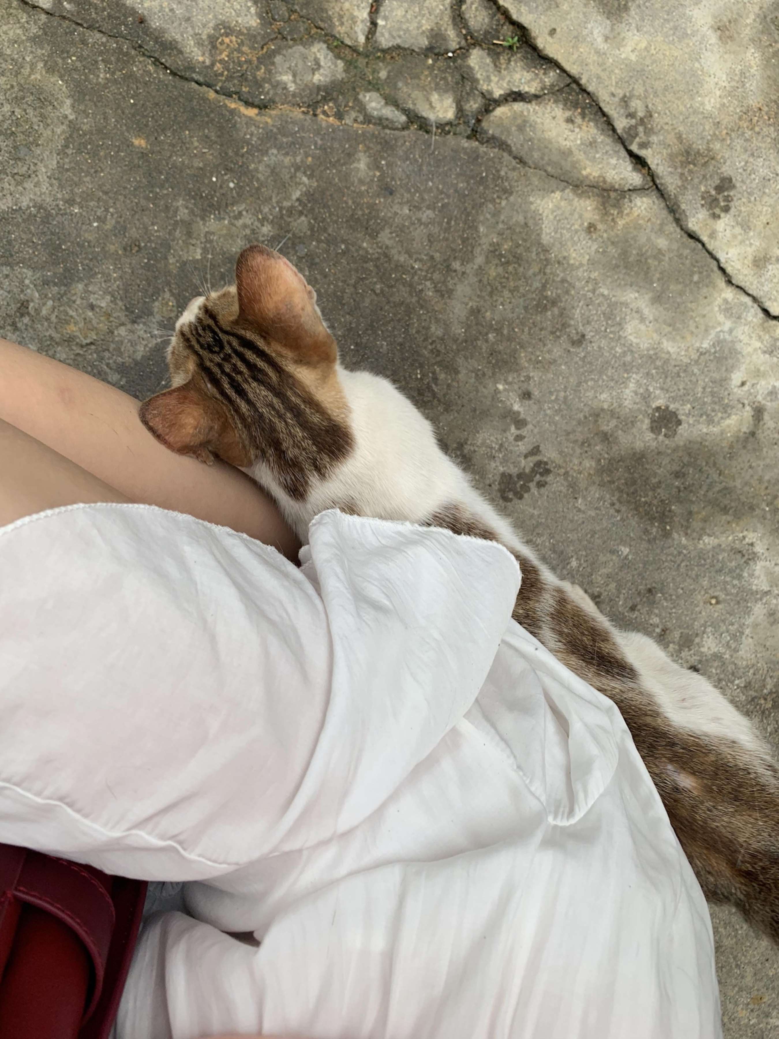 《不露脸少女丝足》作品图