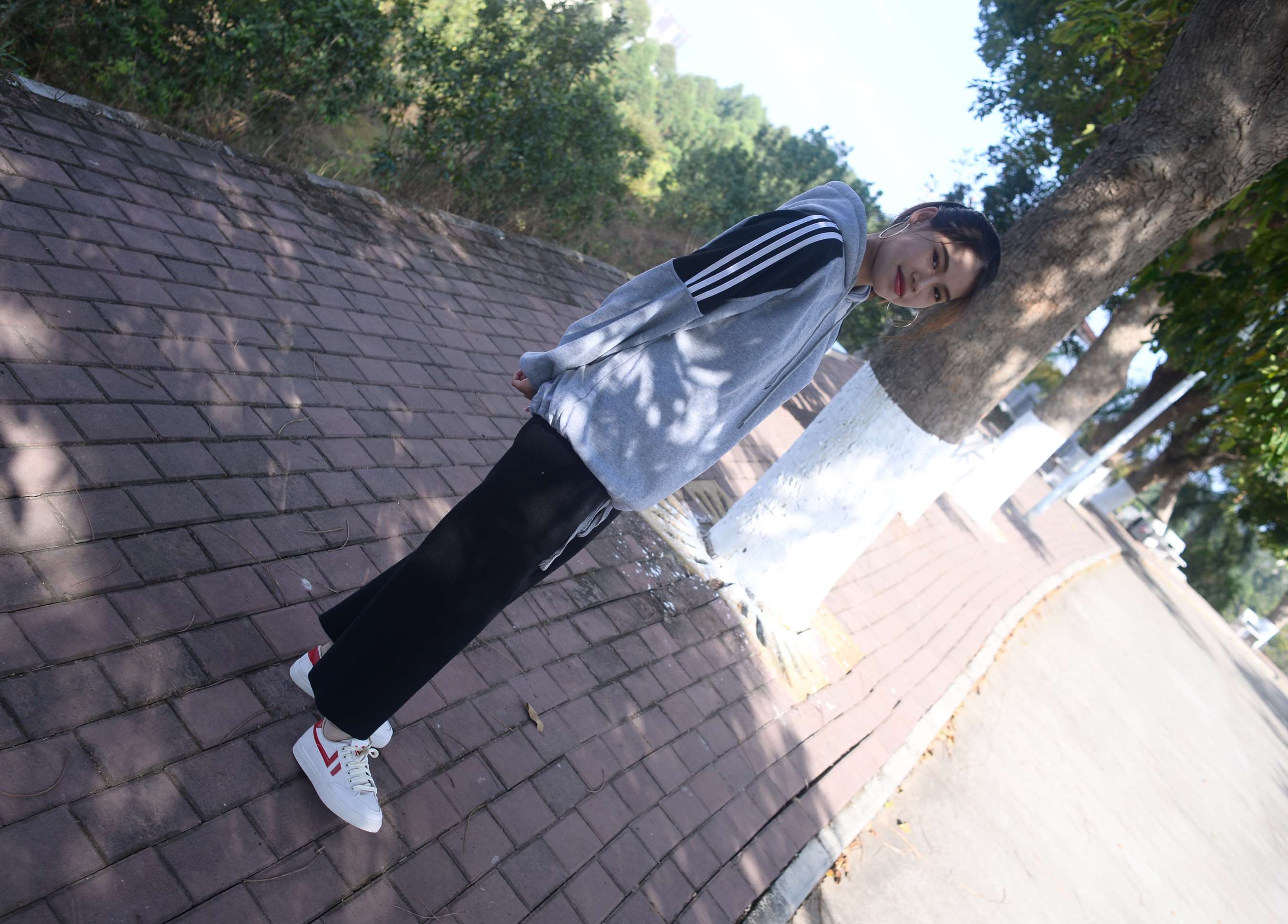 《苏瑶 檐上落下的星》作品图