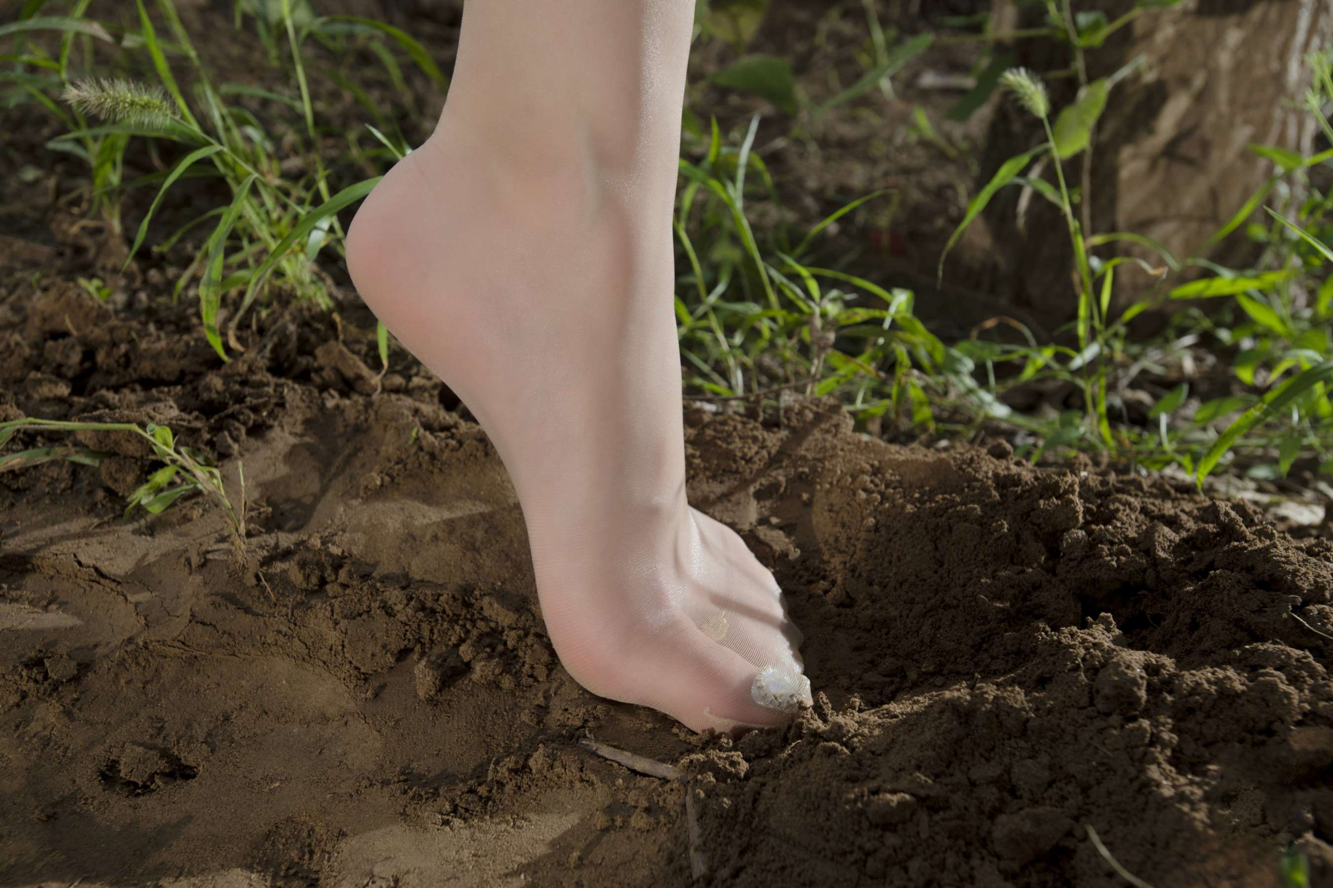 《秘林之舞 汐汐》作品图