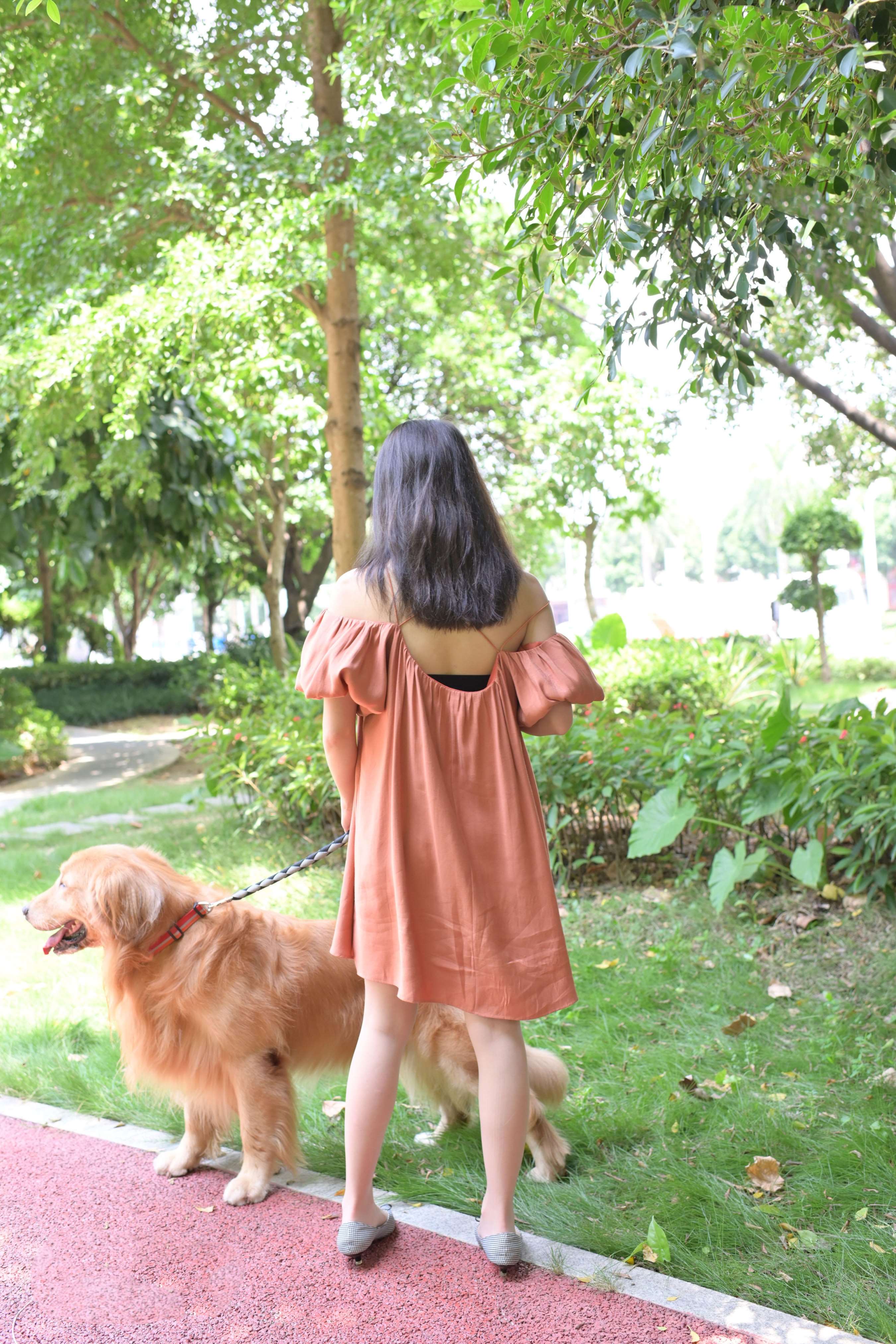 《小姐姐的宠物奇缘》作品图