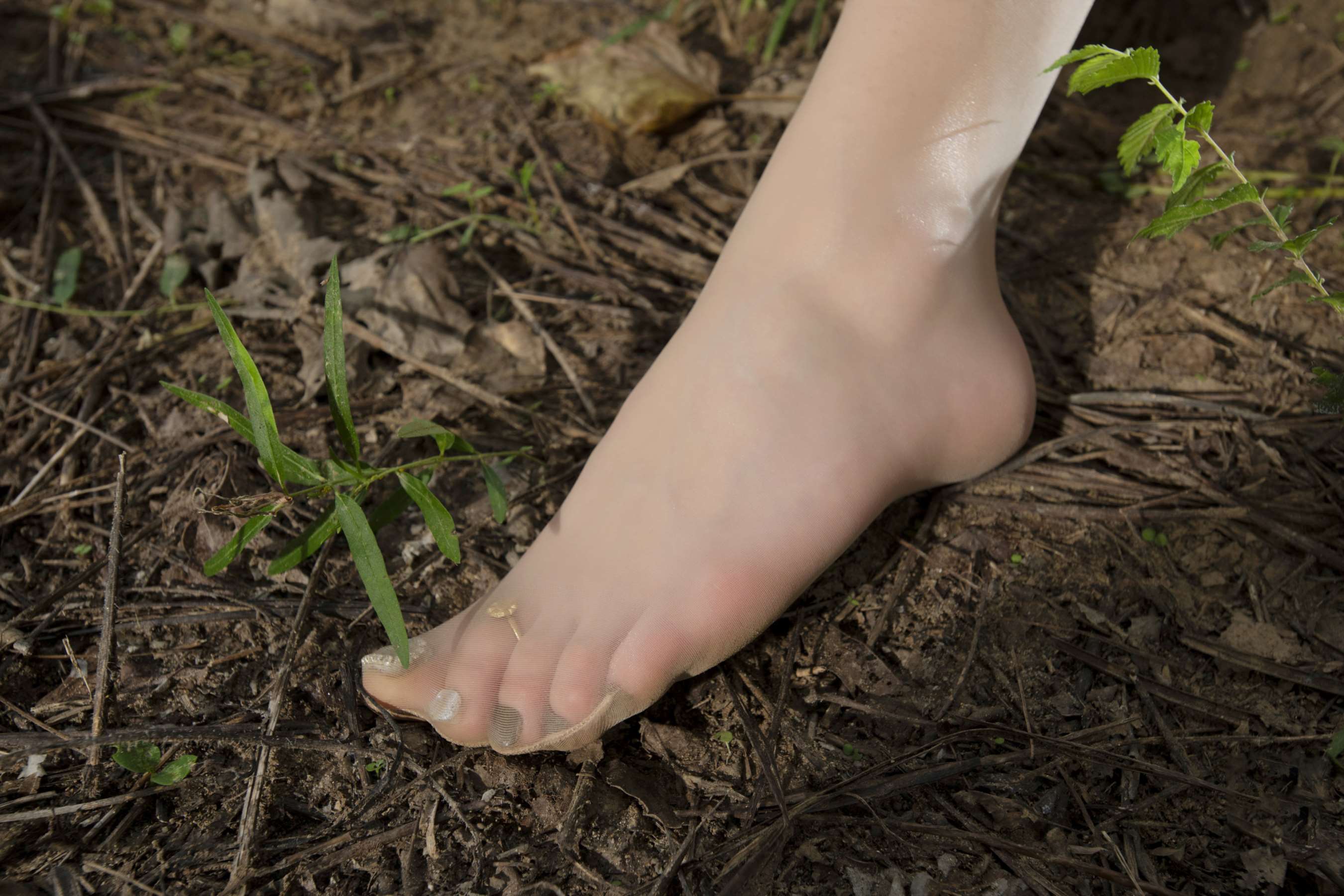 《秘林之舞 汐汐》作品图