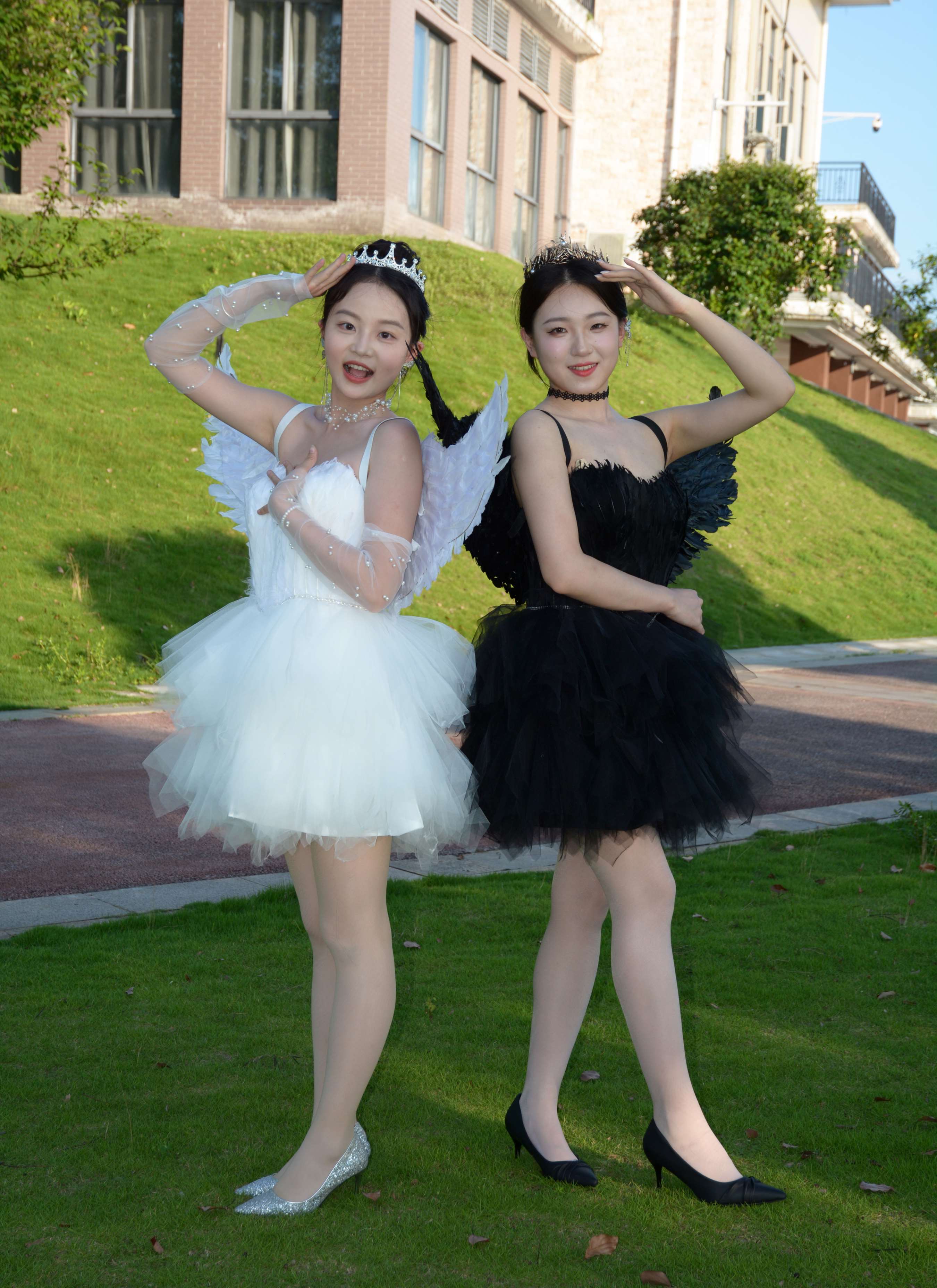 《双双、环环 黑白天使》作品图