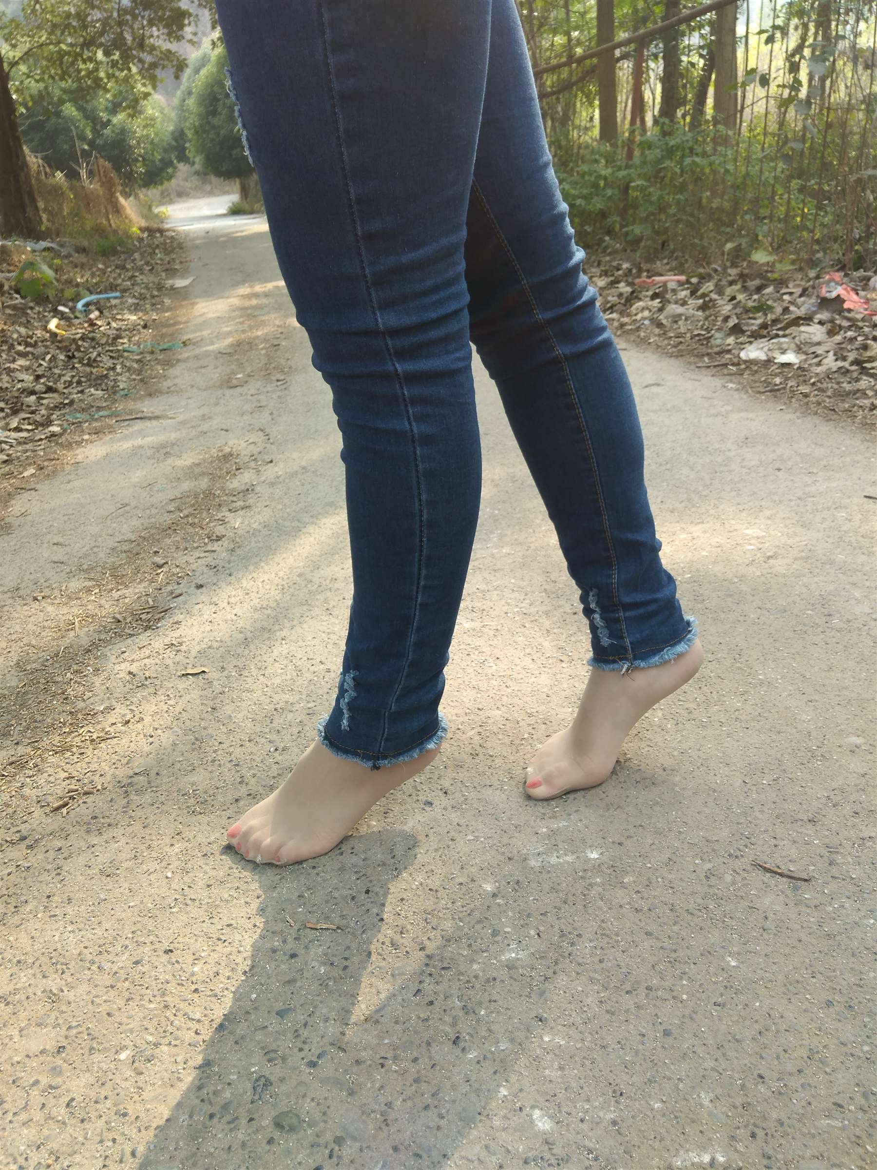 《乡间小路》作品图