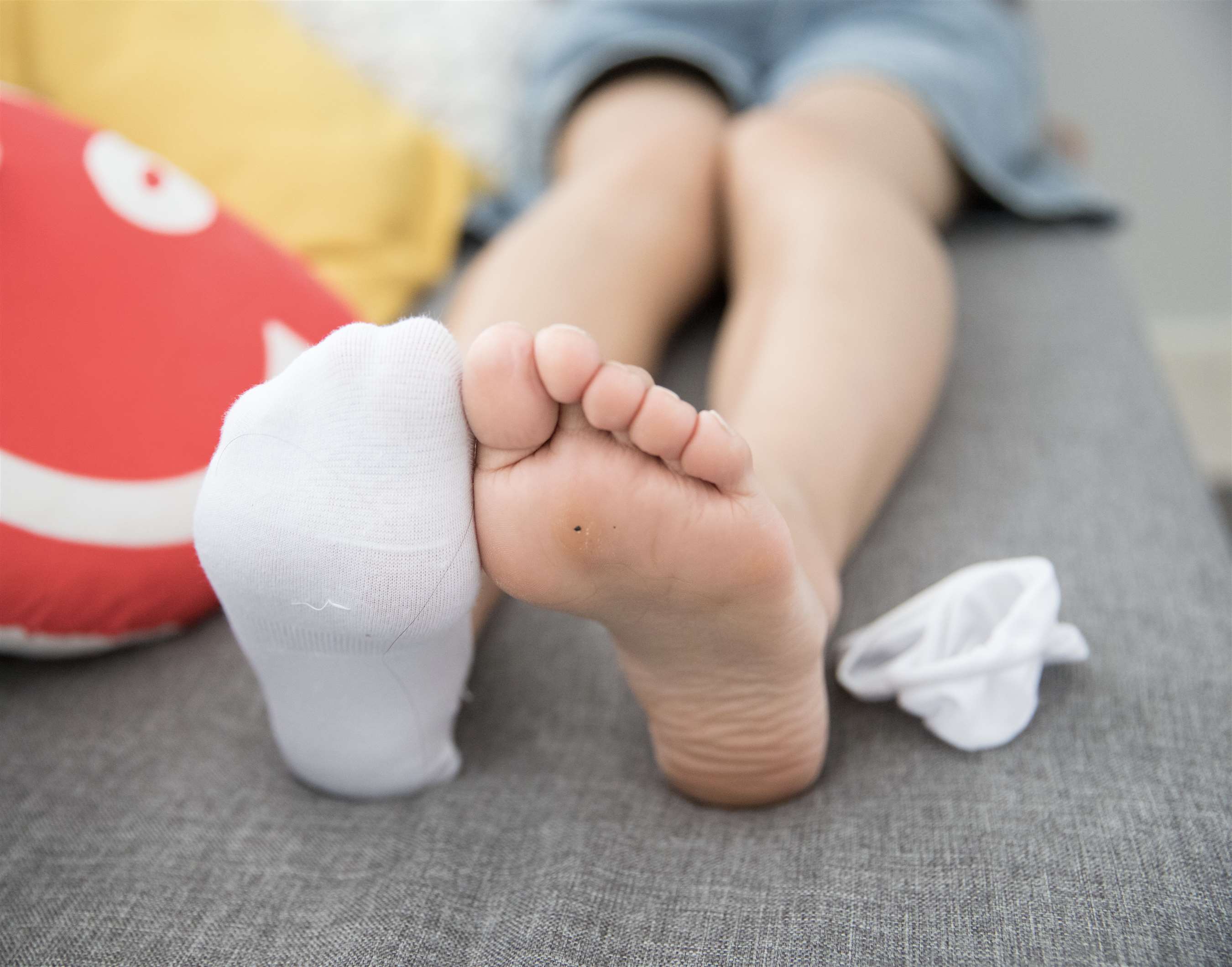 《板鞋白船袜脚【视频1个网盘下载】》作品图