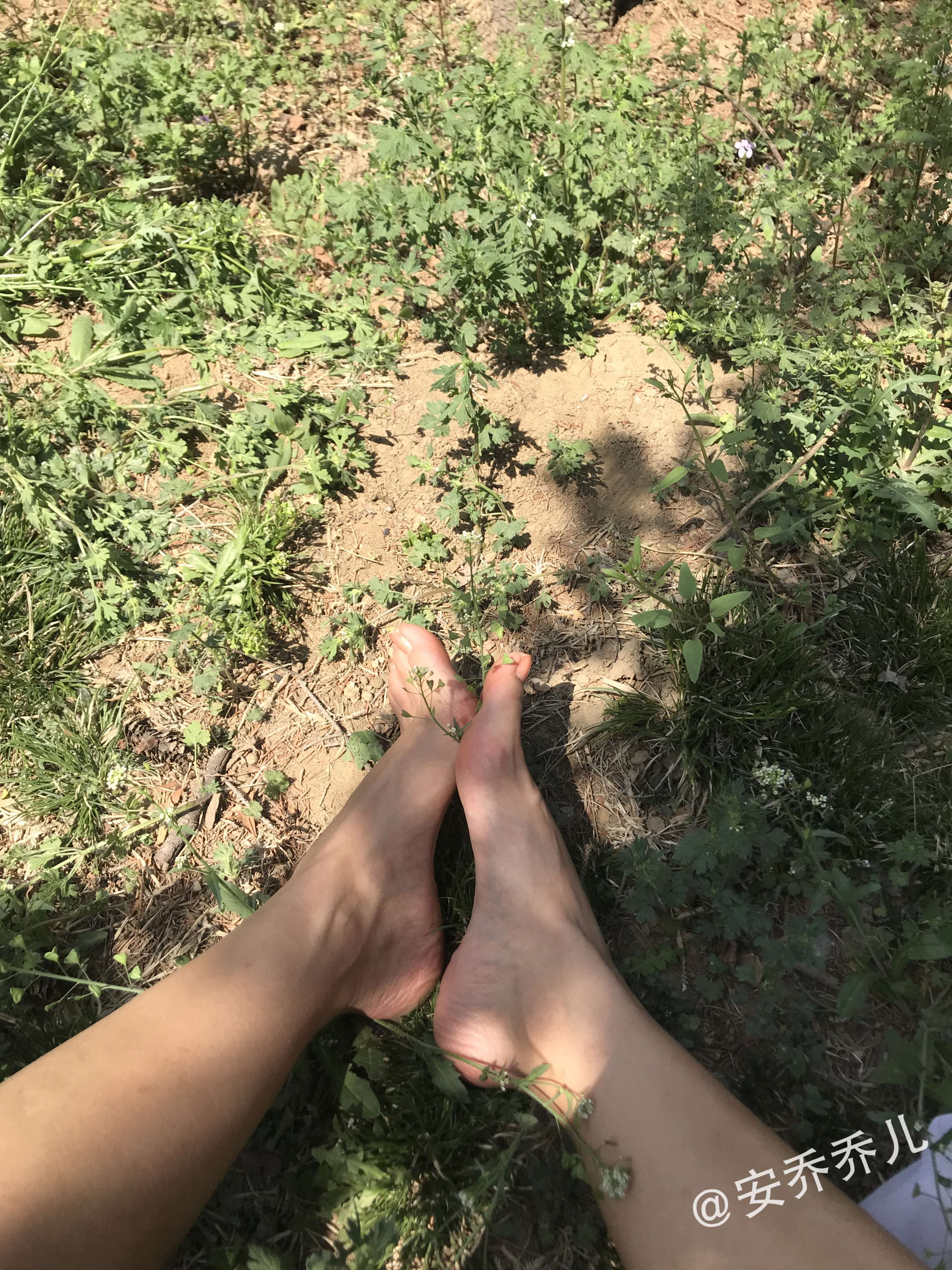 《夏天的风》作品图