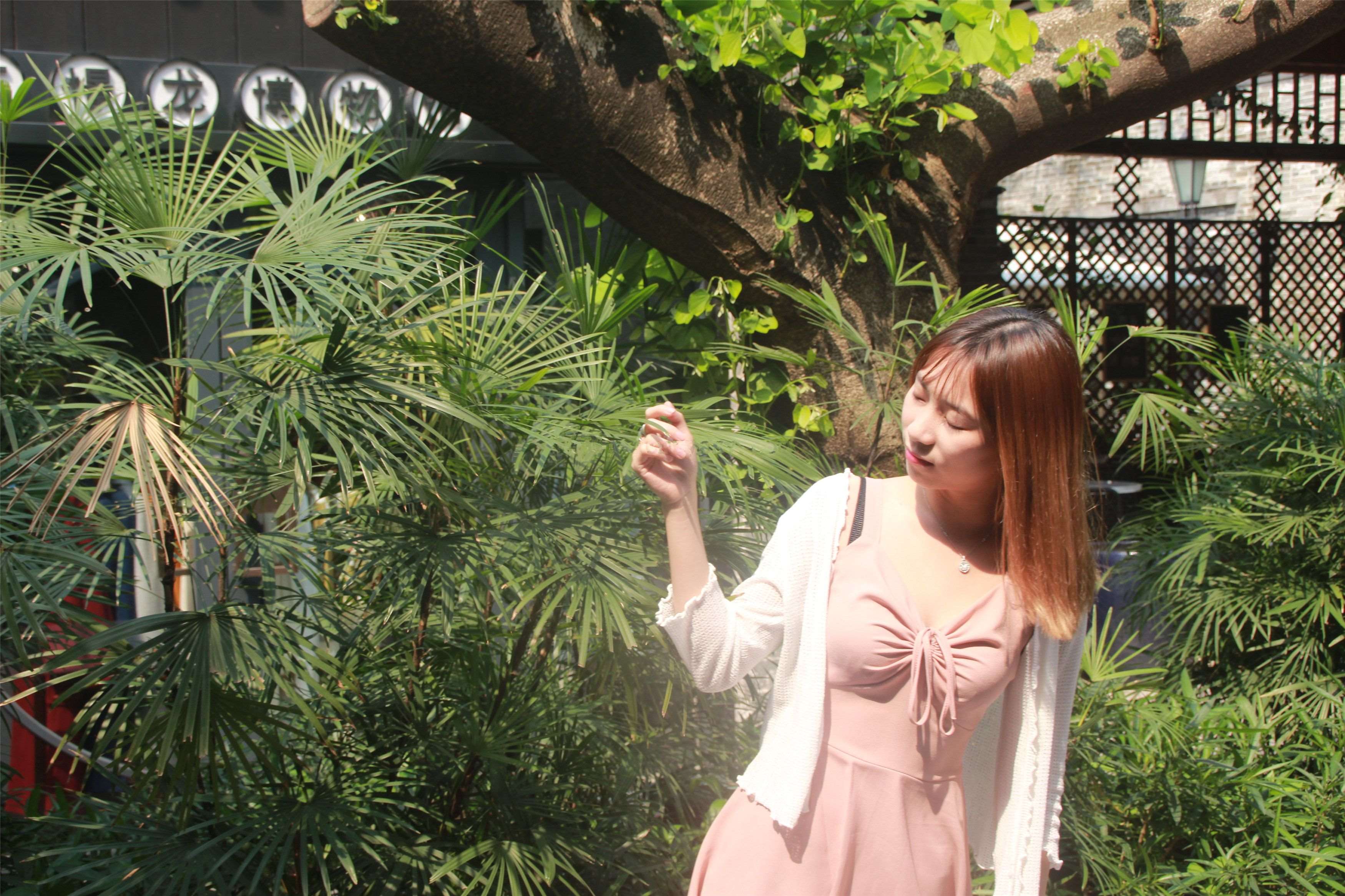 《嫩足与落叶》作品图