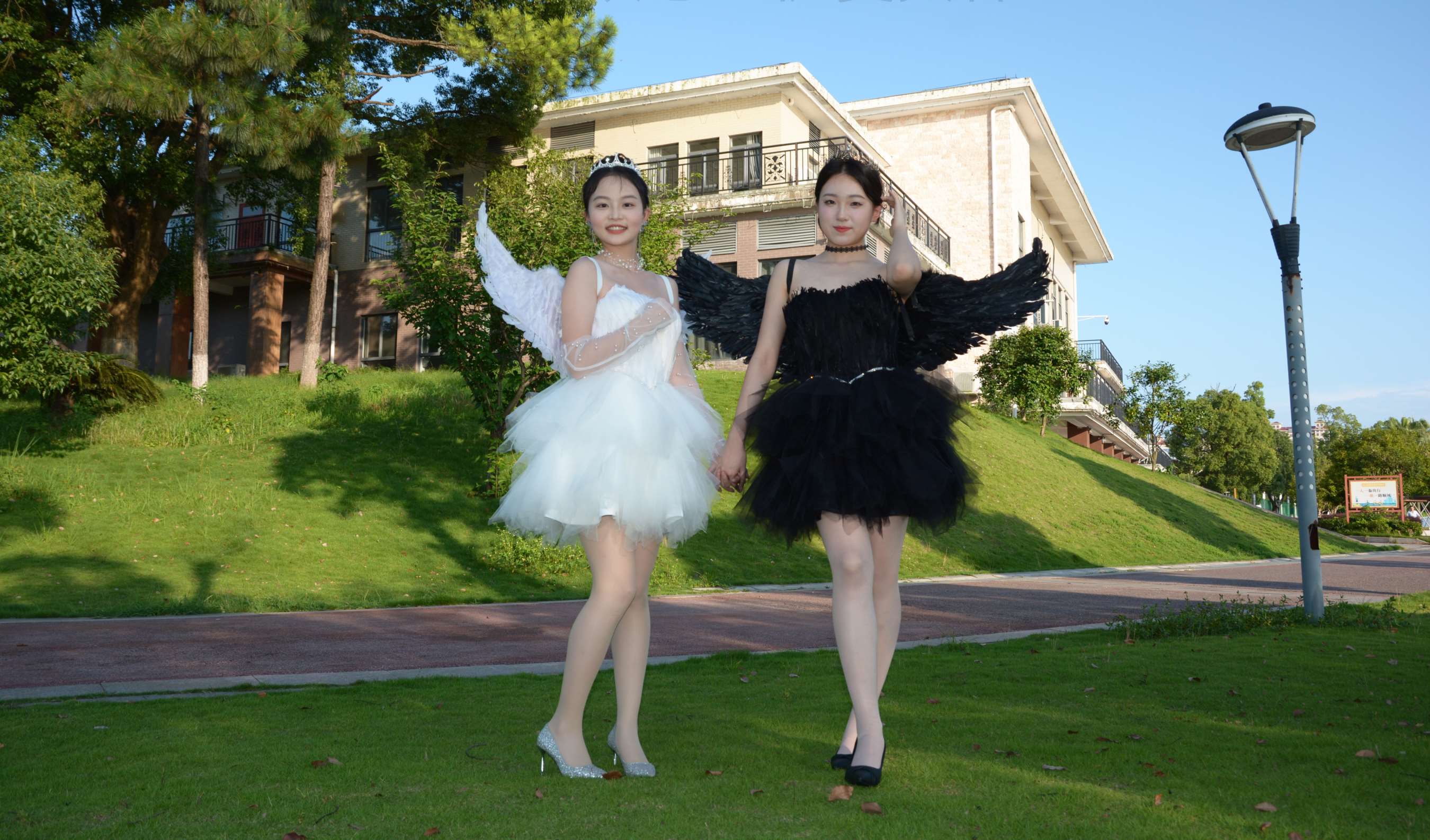 《双双、环环 黑白天使》作品图