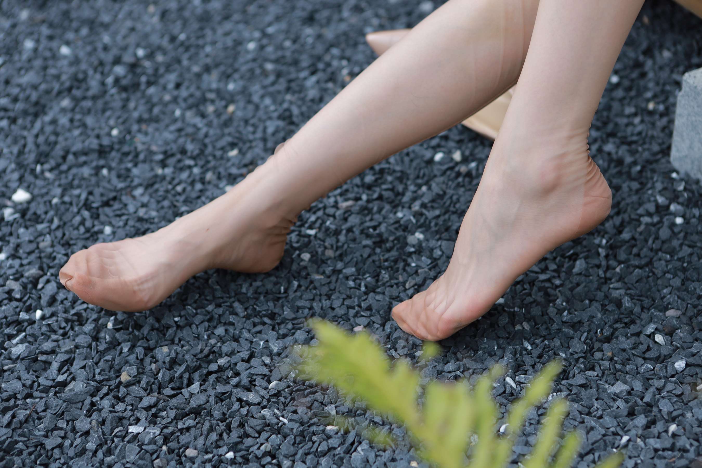 《Sia 真是让人欲罢不能》作品图