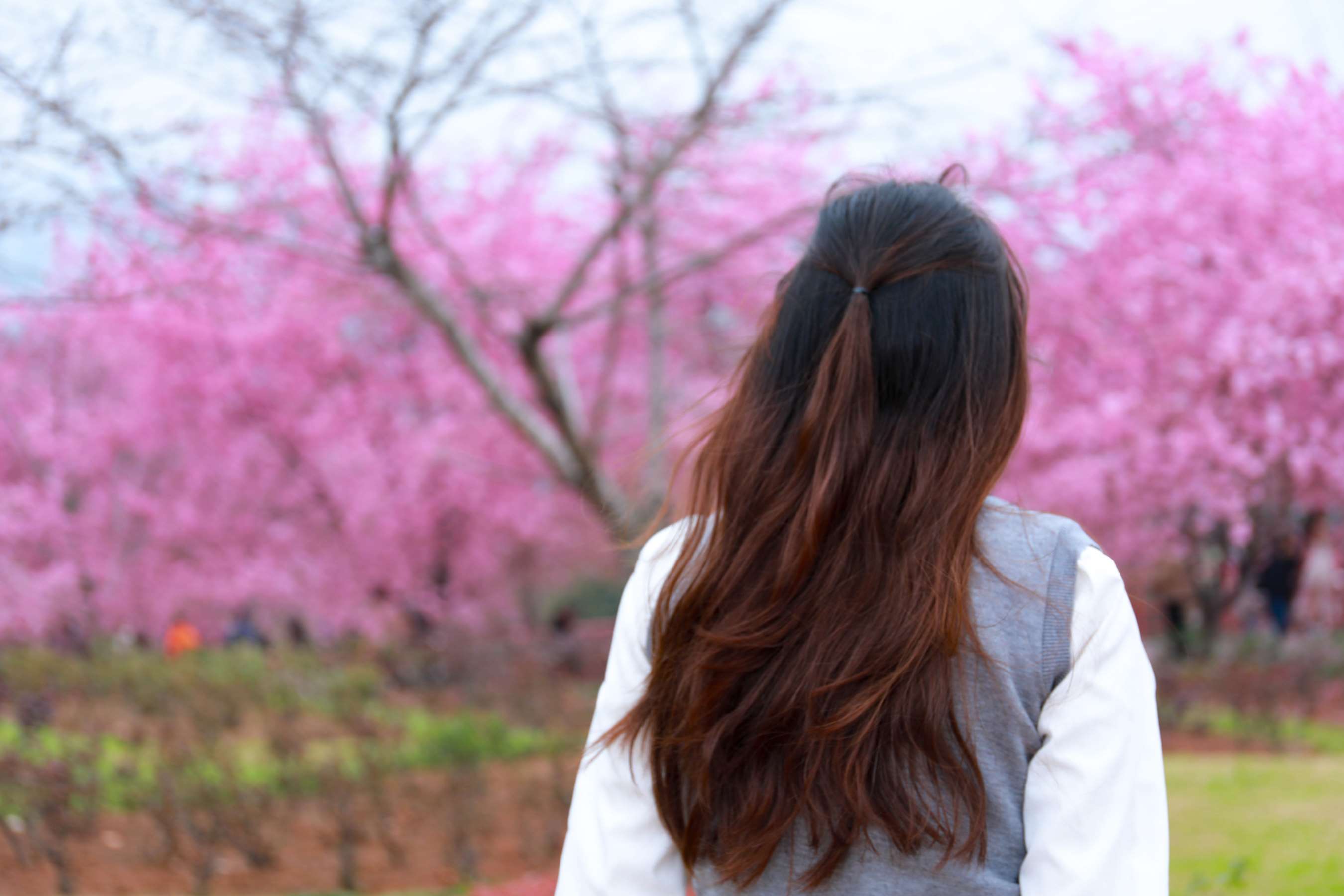 《小天职业装踏青》作品图