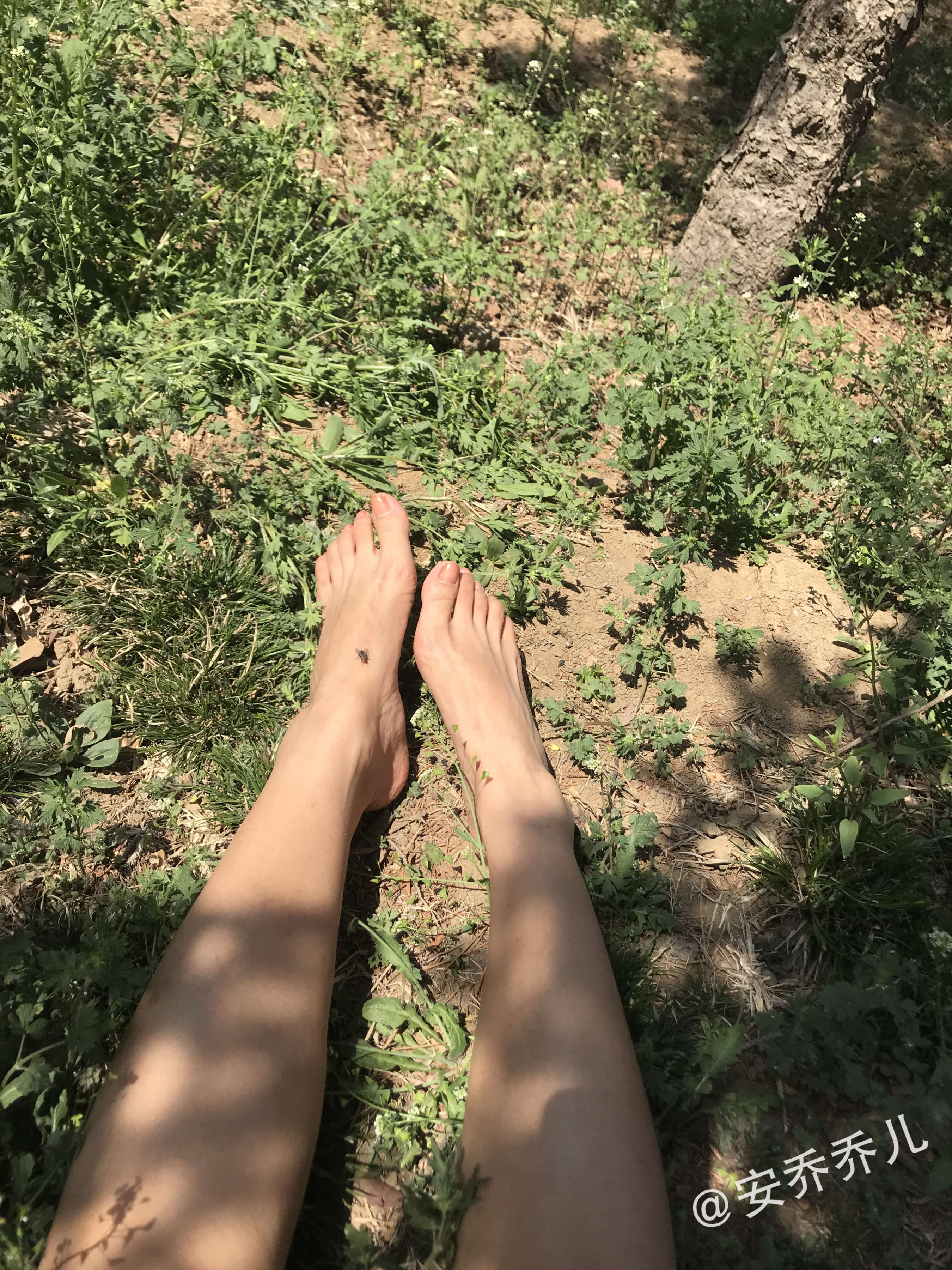 《夏天的风》作品图