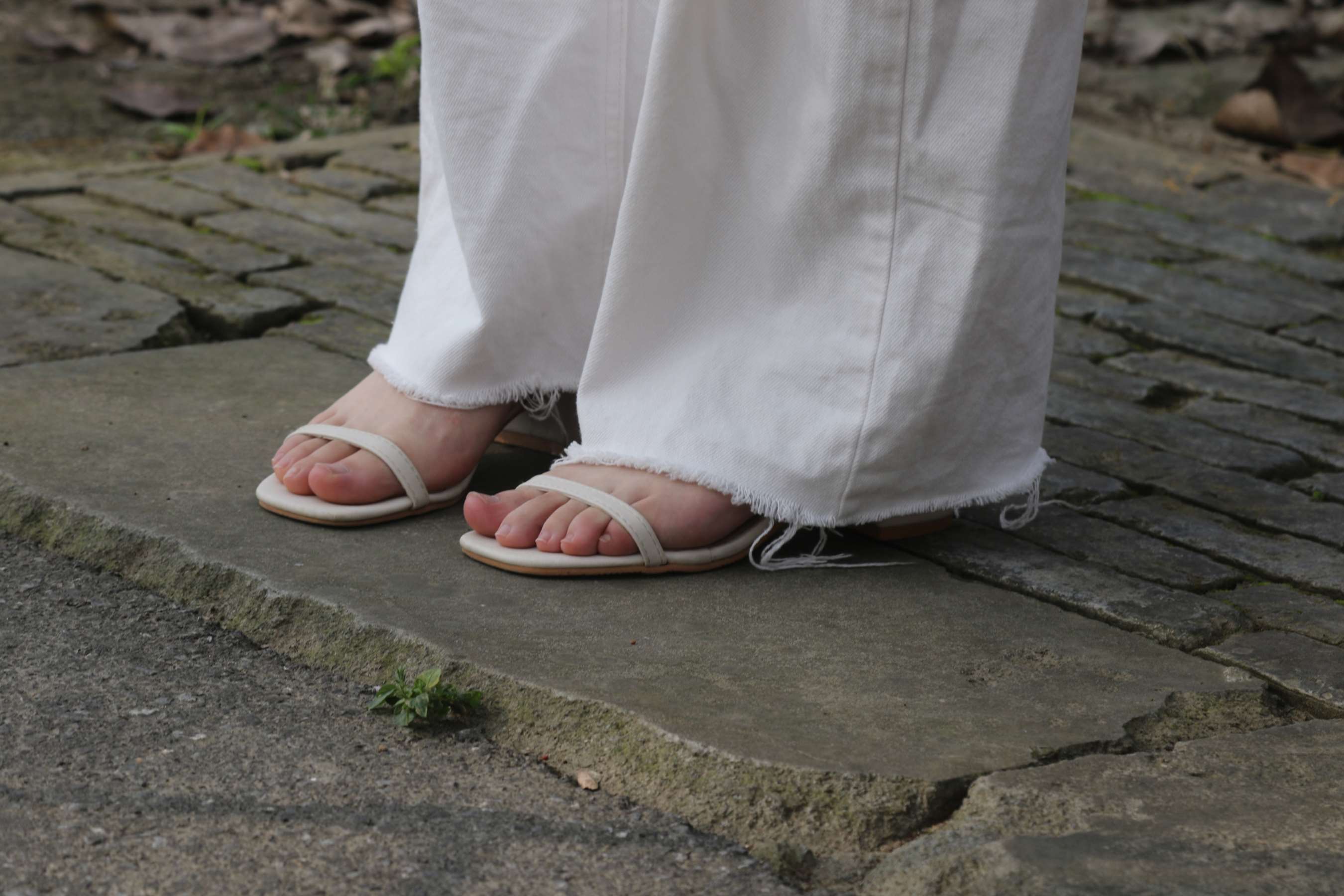 《少女生态公园之一字带秀气凉鞋》作品图