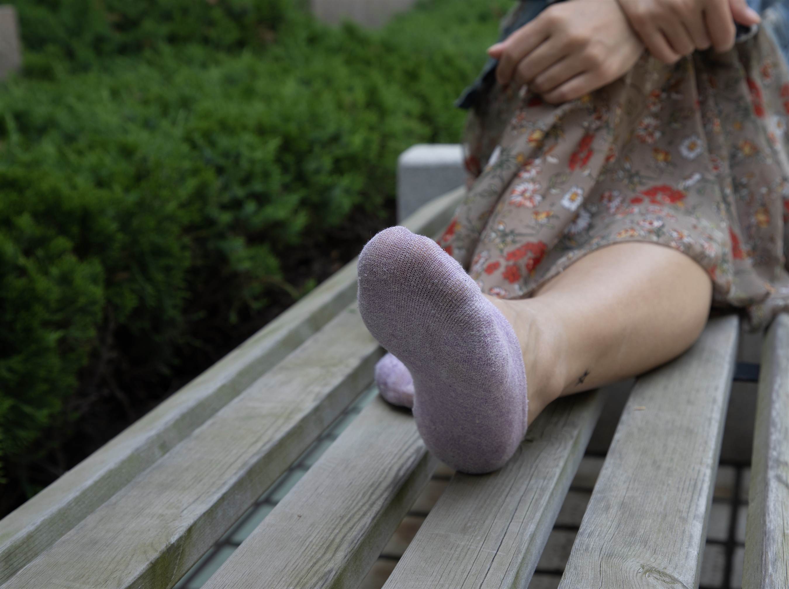 《学姐帆布鞋の紫色船袜脚丫》作品图