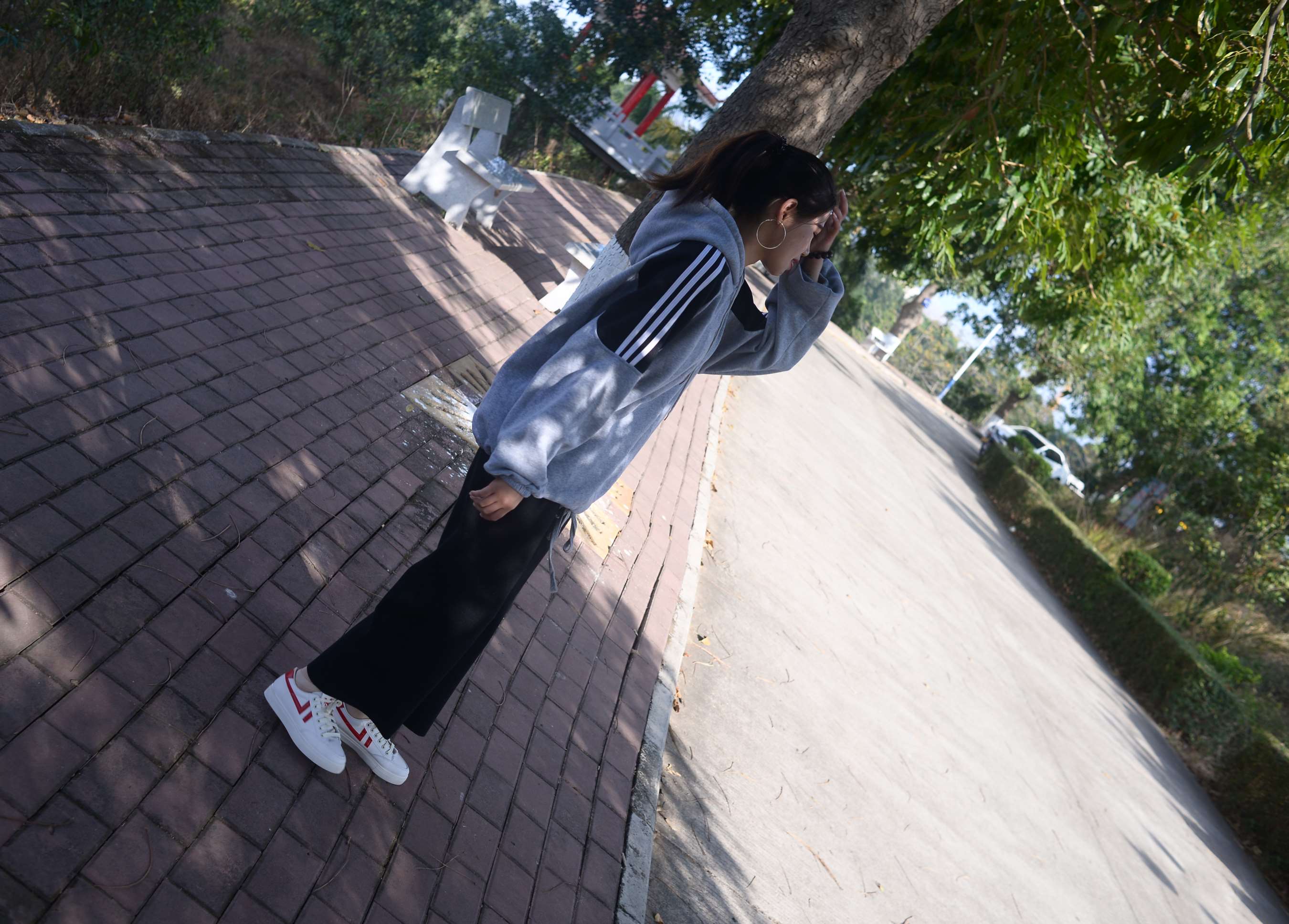 《苏瑶 檐上落下的星》作品图