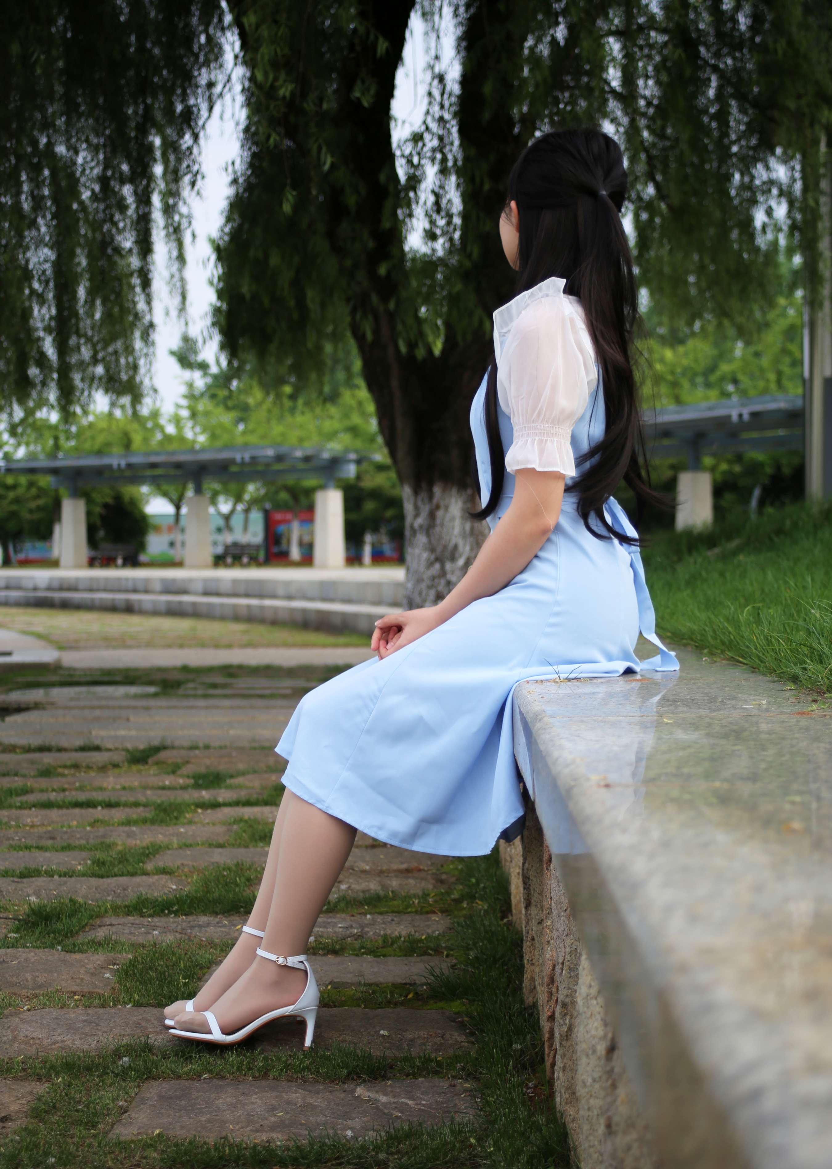 《双双绿树成荫》作品图