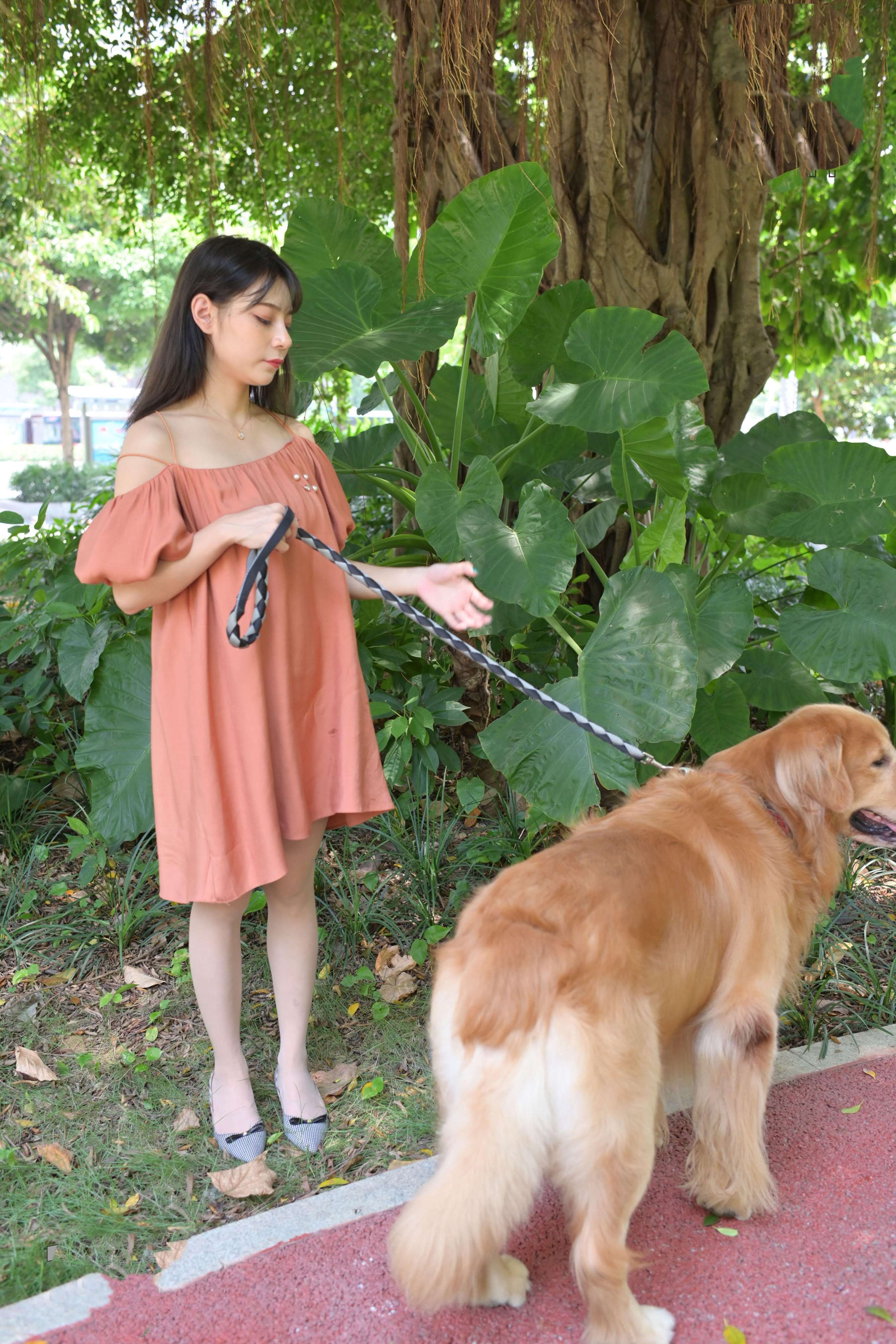 《小姐姐的宠物奇缘》作品图