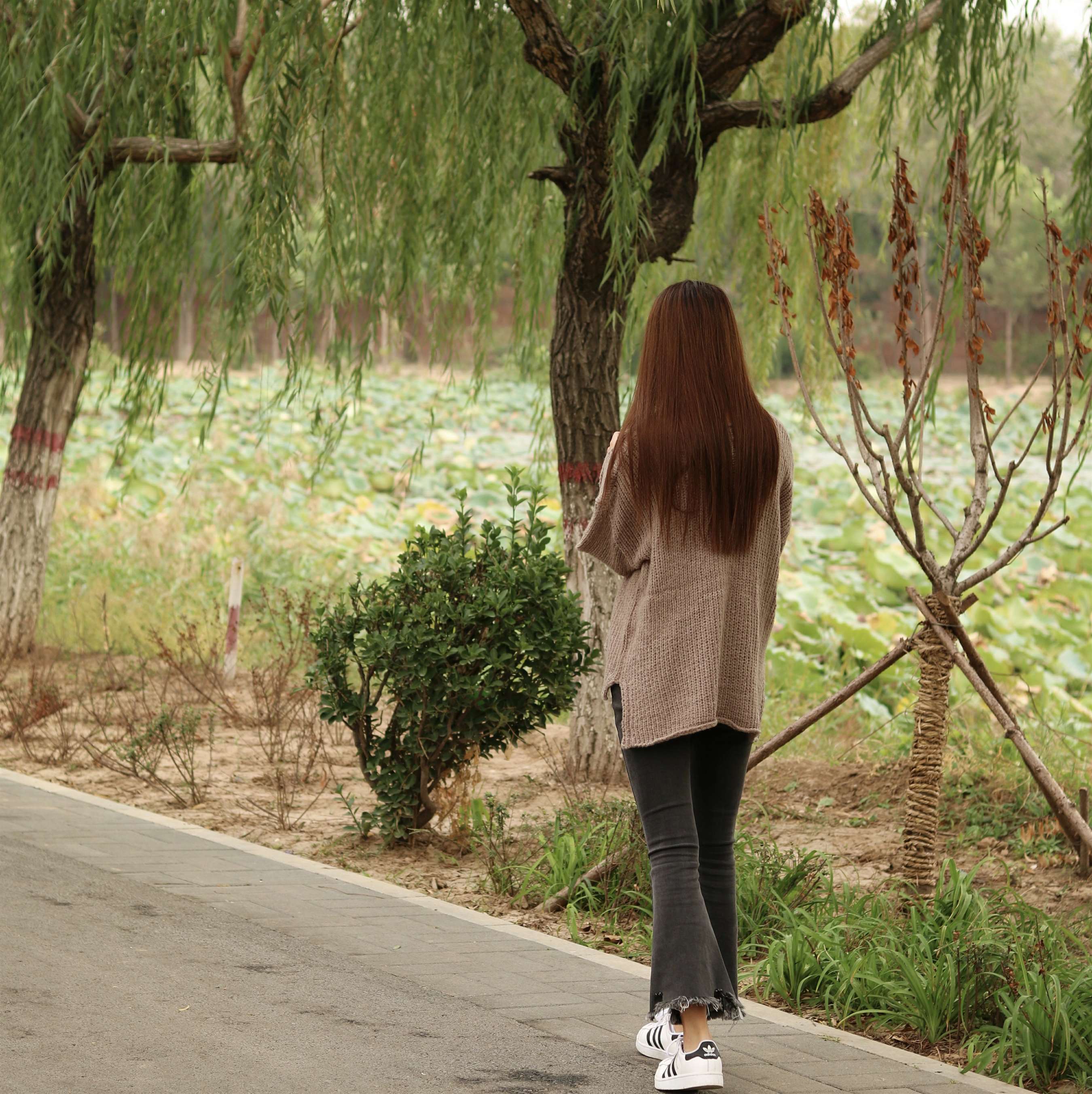 《秋叶》作品图