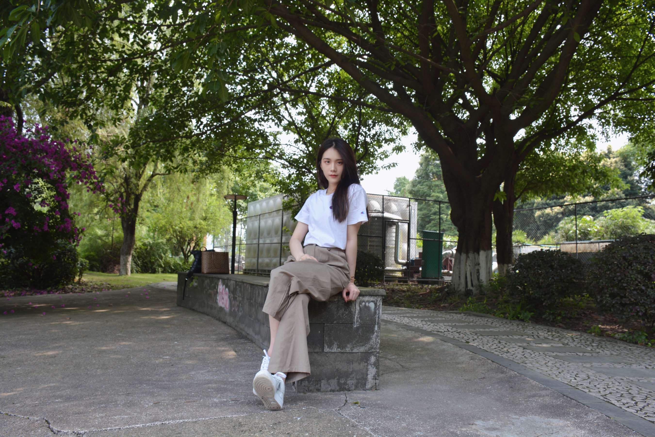 《校园游记-春花秋月何时了》作品图