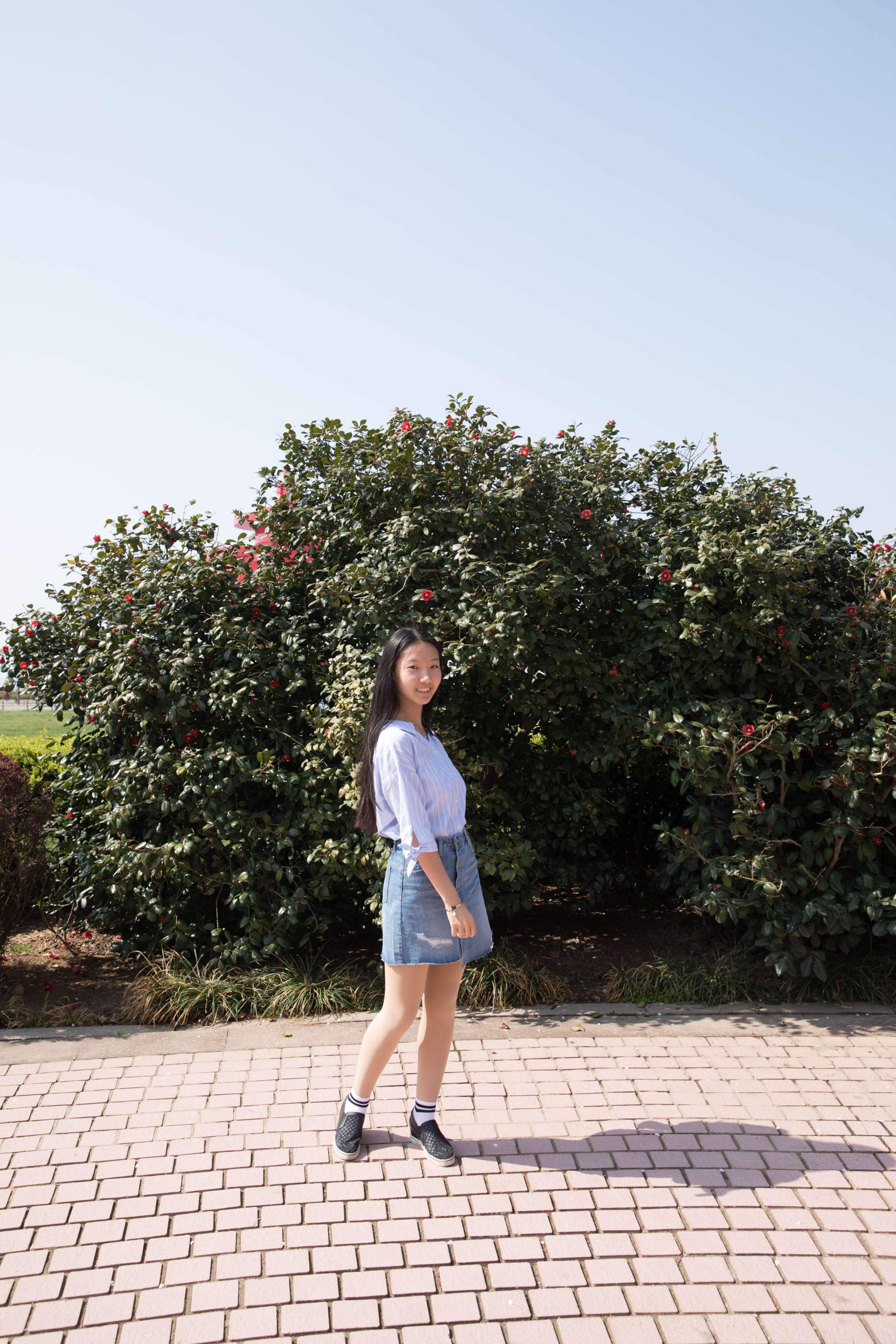 《清新阳光的暖春气息》作品图