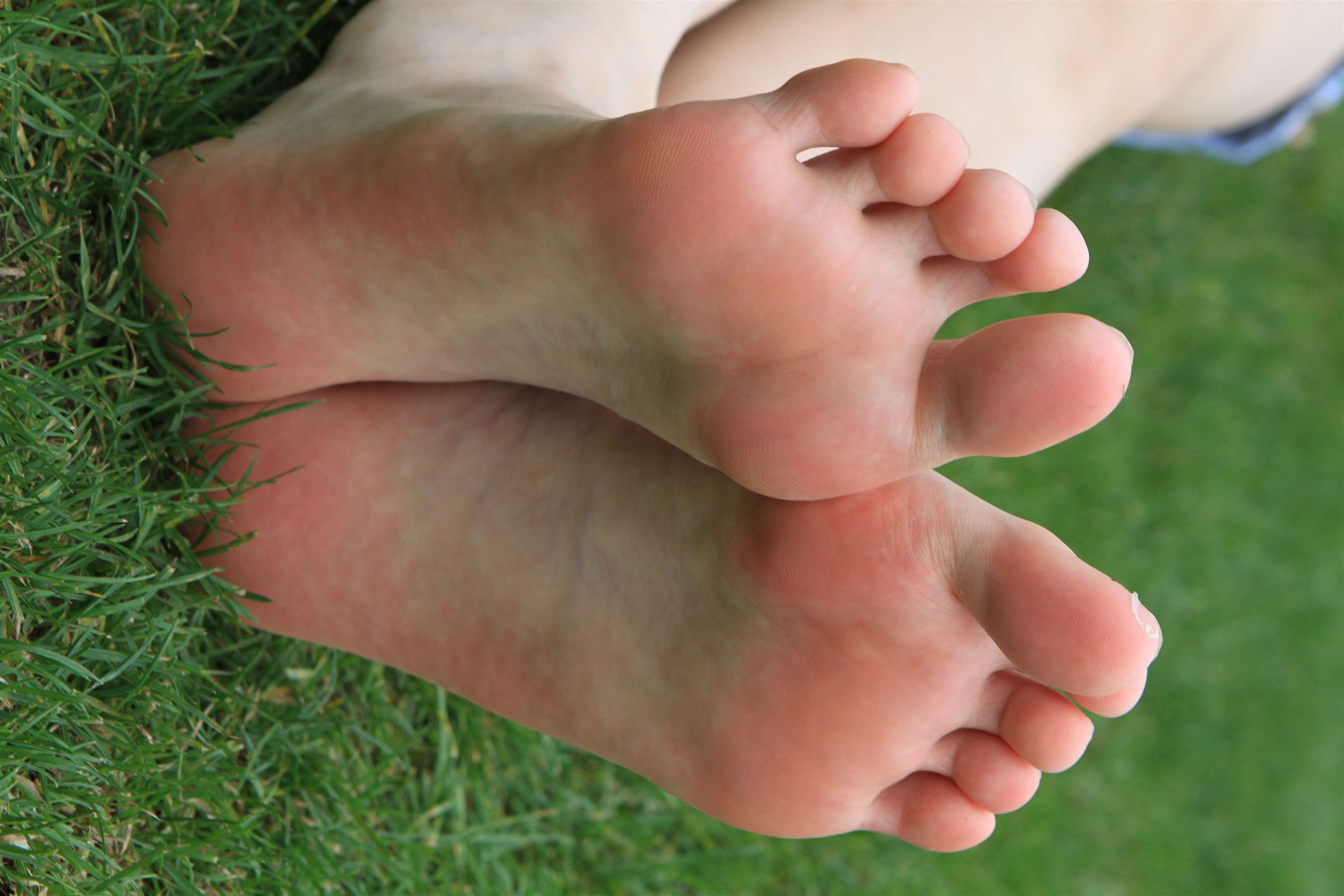 《草地上的嫩足》作品图