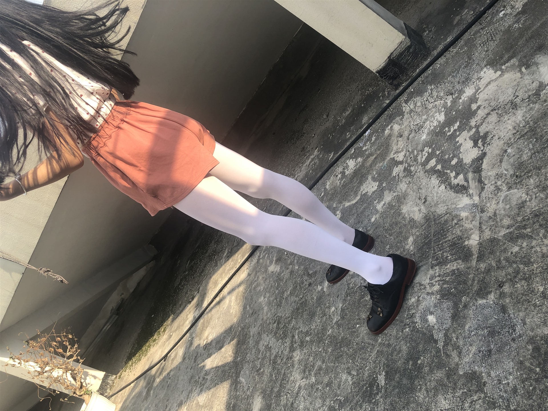 《天台皮鞋丝袜脚》作品图