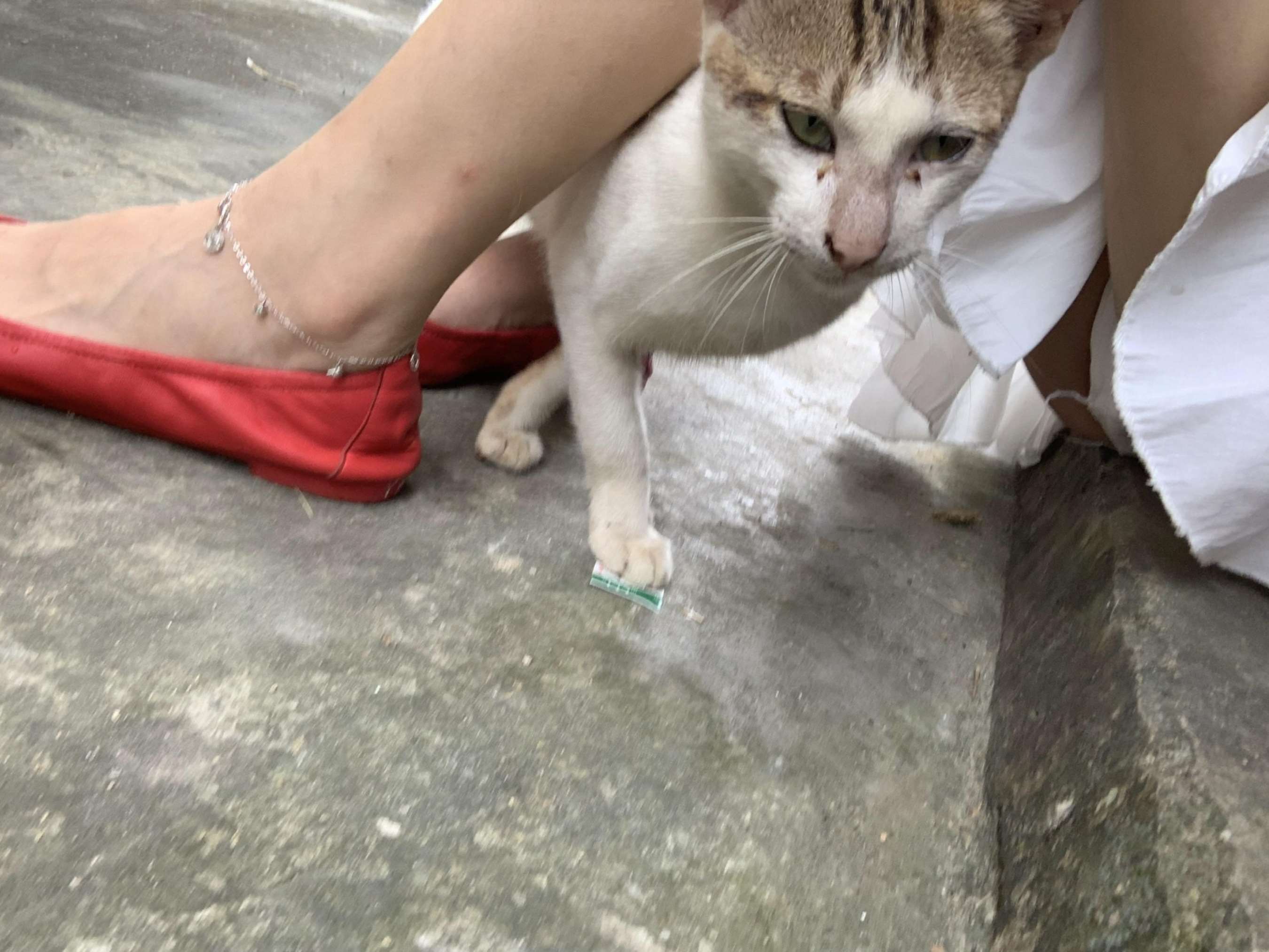 《不露脸少女丝足》作品图