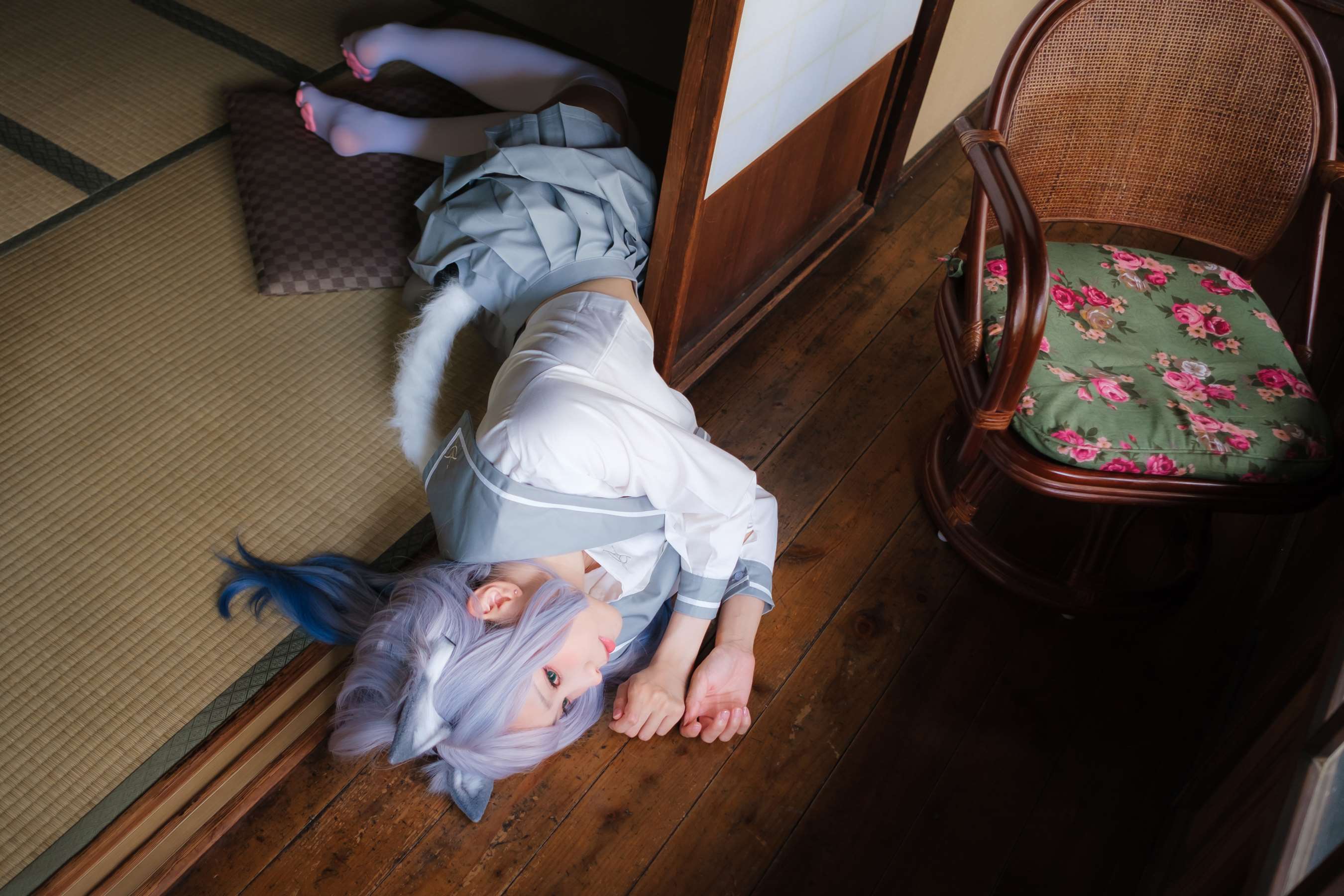 《緣廊白猫》作品图