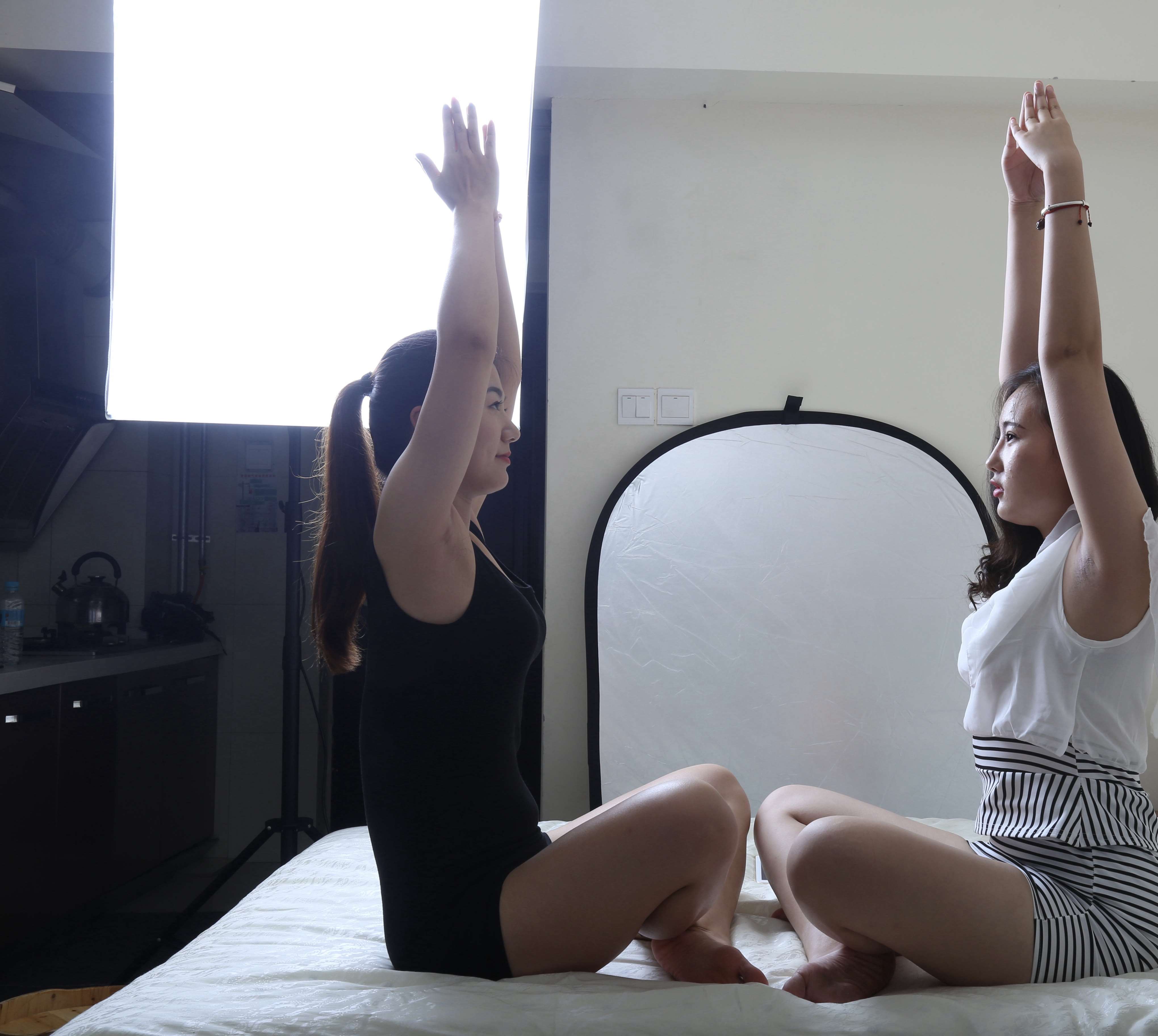 《姐妹花》作品图