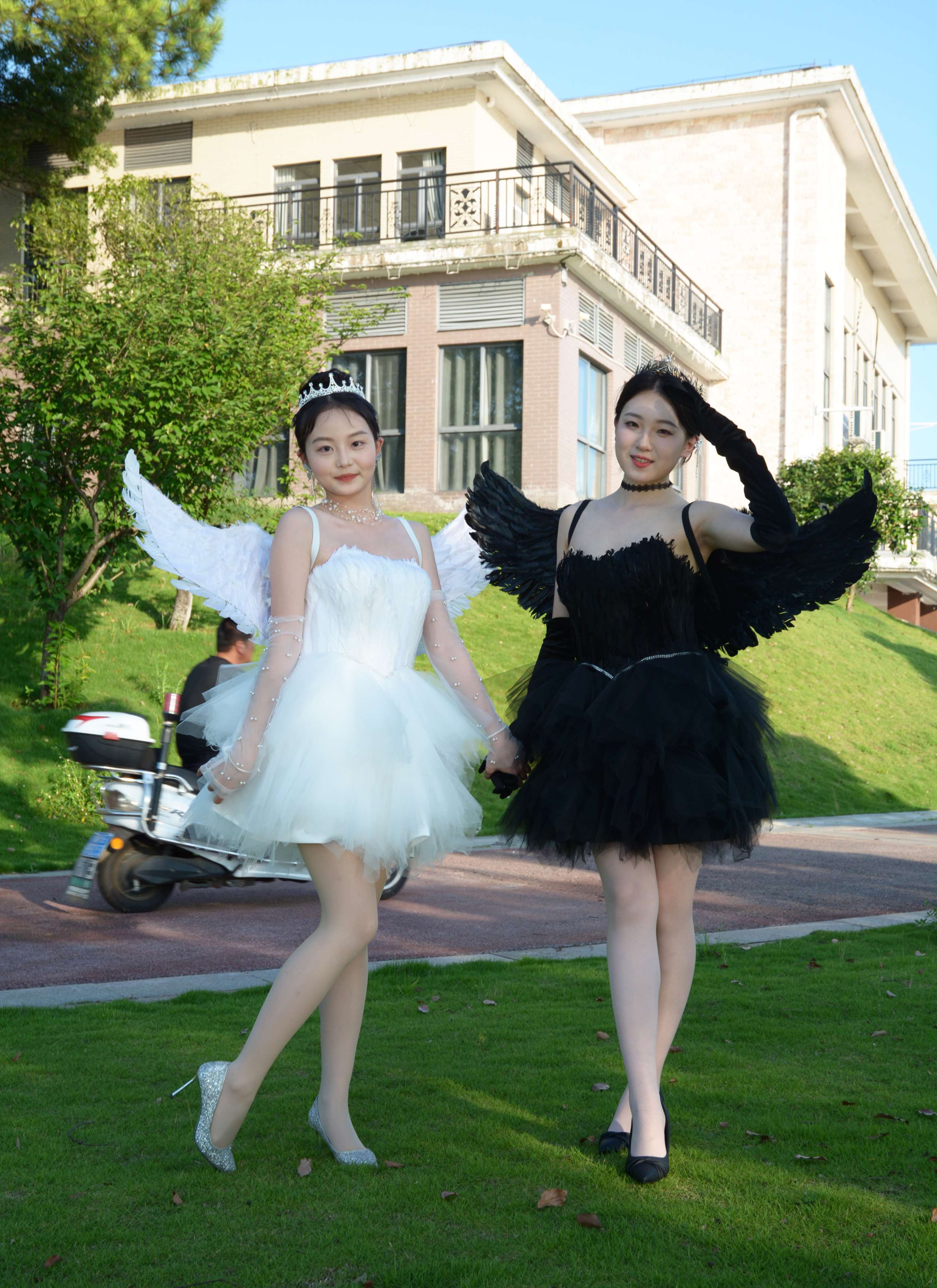 《双双、环环 黑白天使》作品图