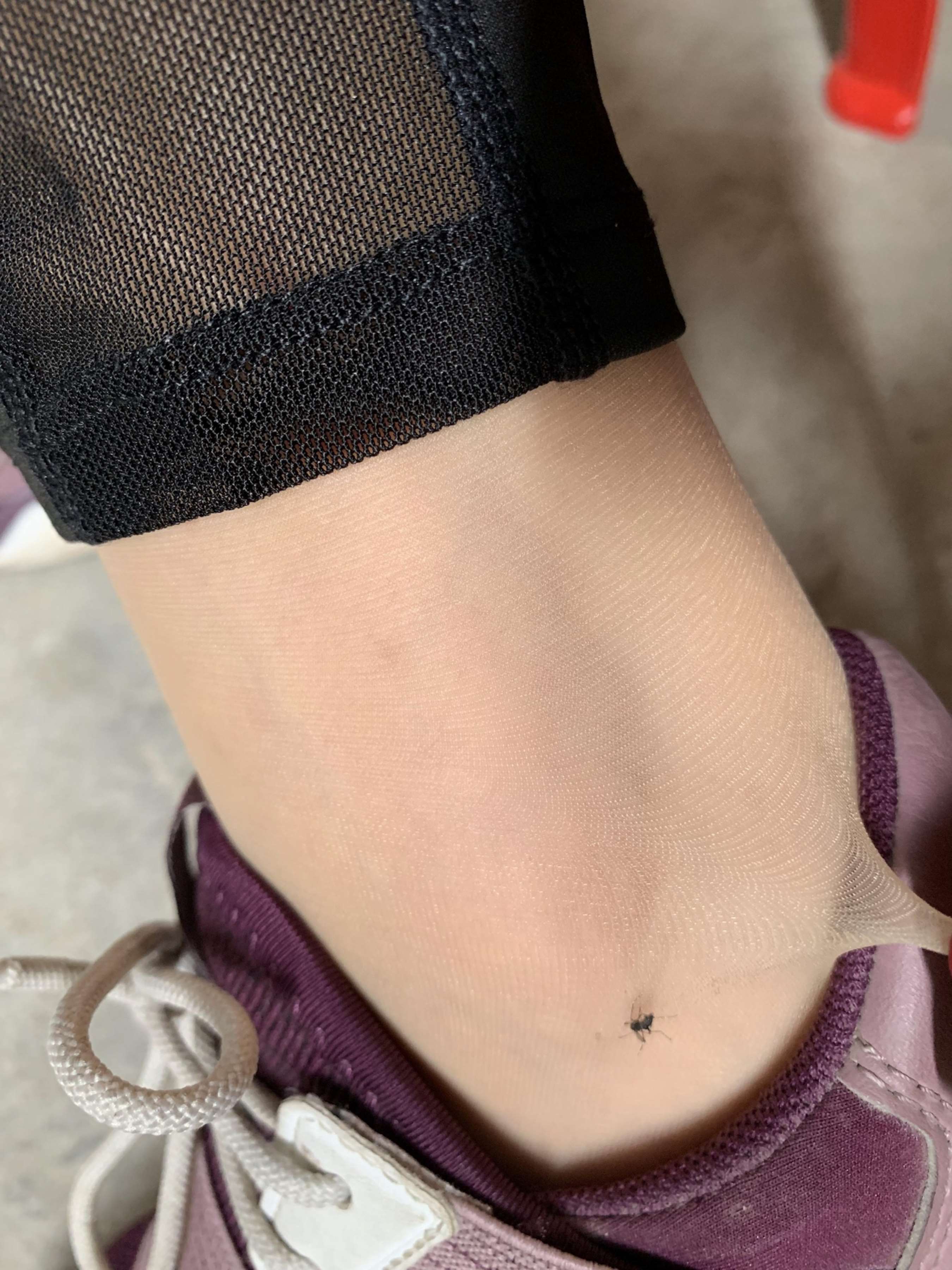 《少女肉丝脚丫》作品图