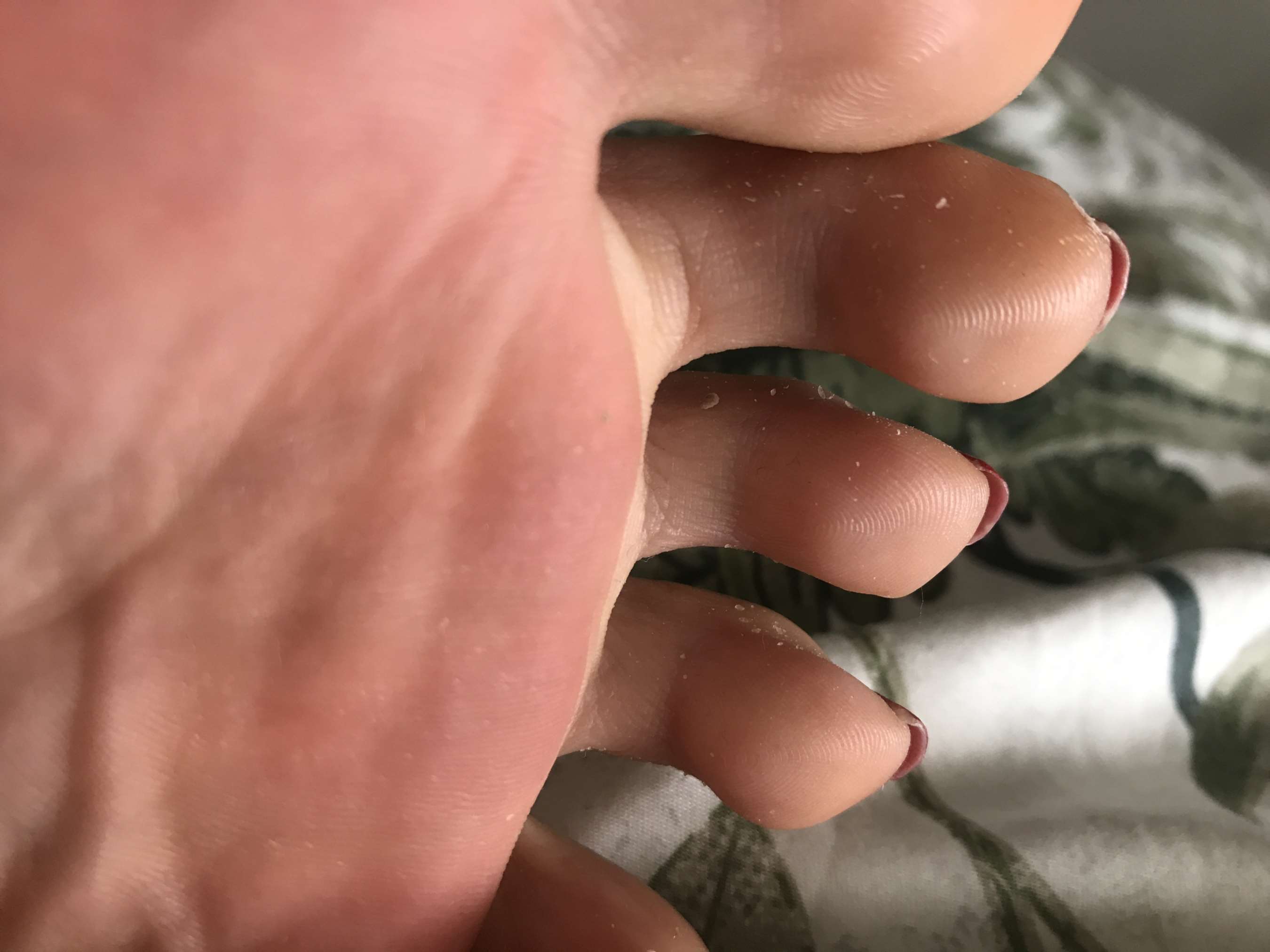 《健身房白袜》作品图